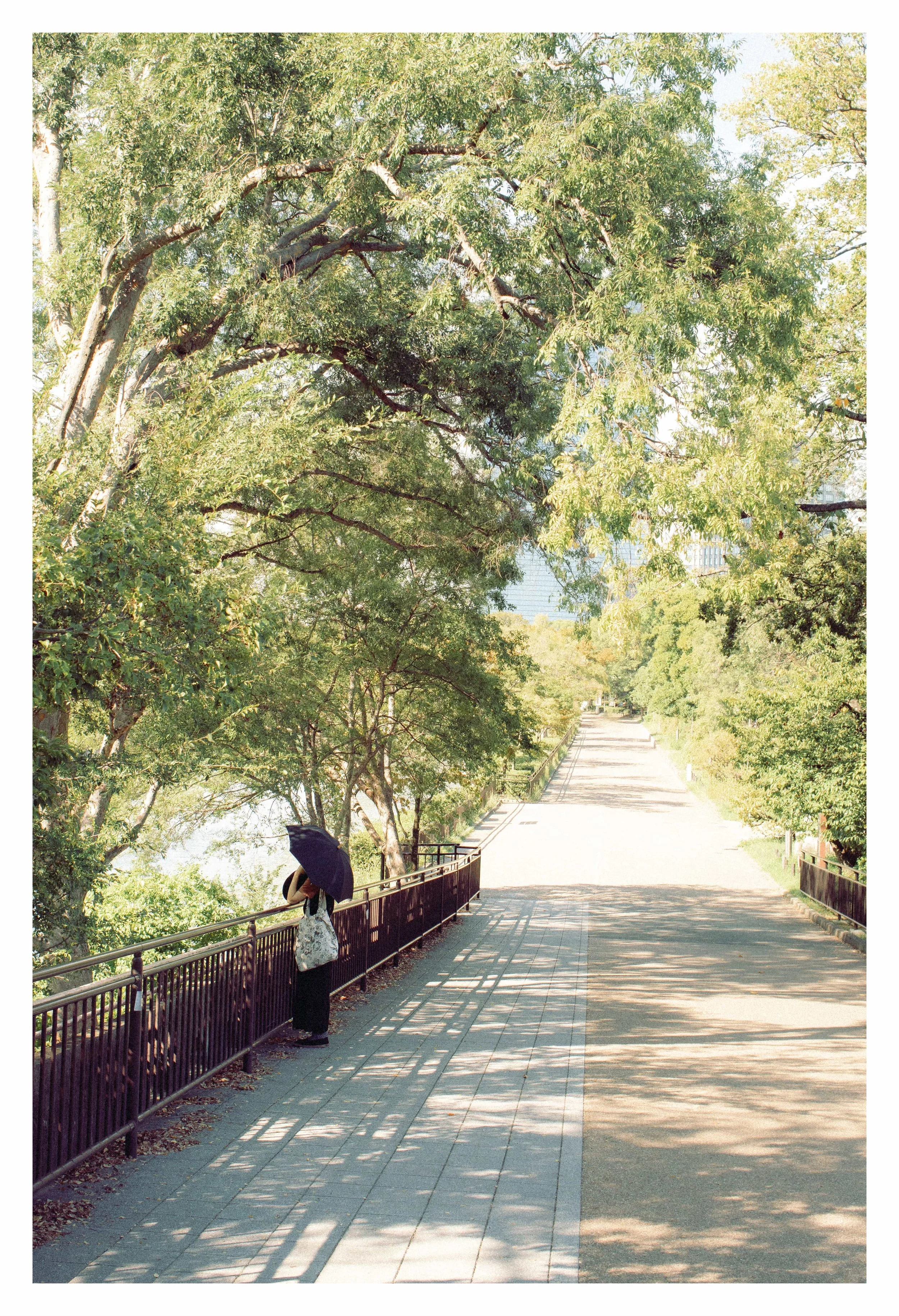 09-26-23 Colored-19 copy.jpeg