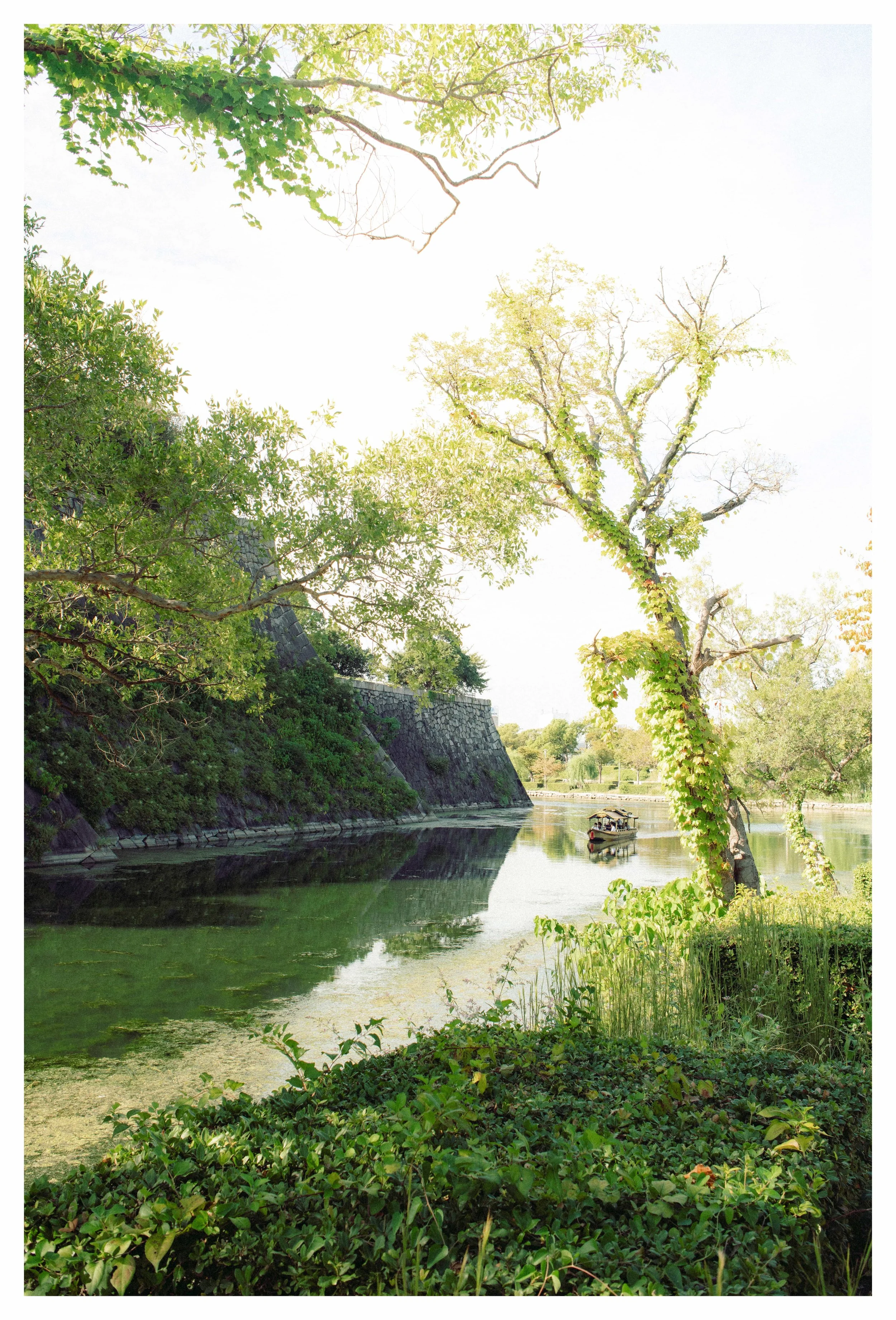 09-26-23 Colored-21 copy.jpeg