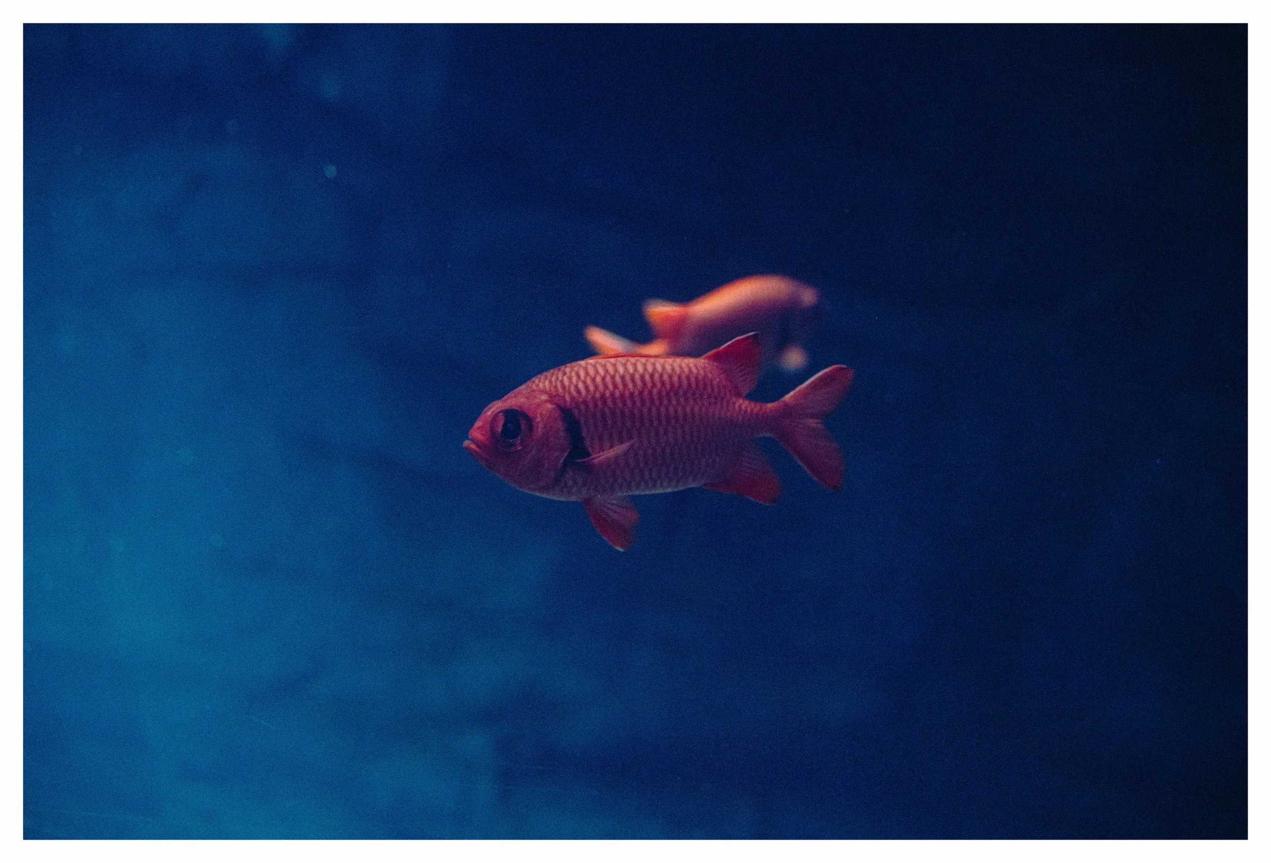 09-27-23 Colored-9 compressed.jpg