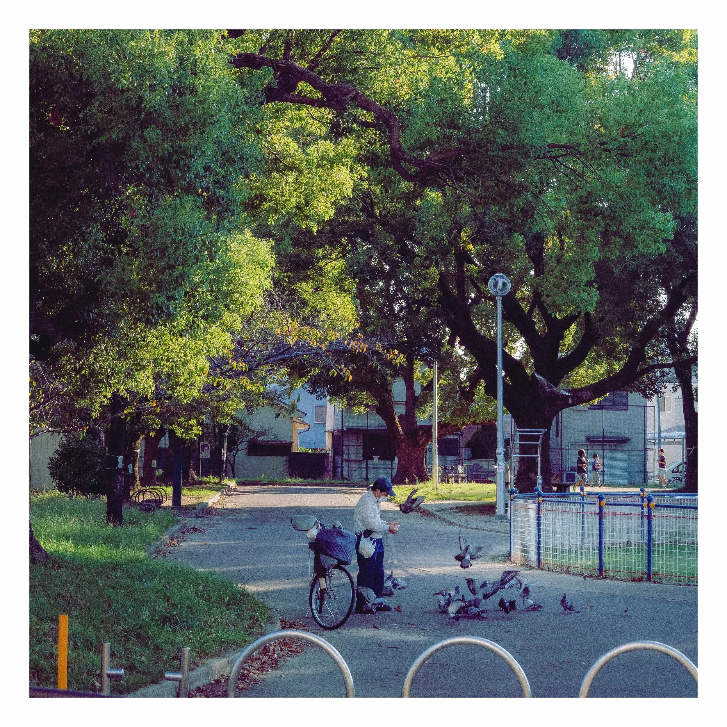 09-29-23 Colored-12 comp.jpg