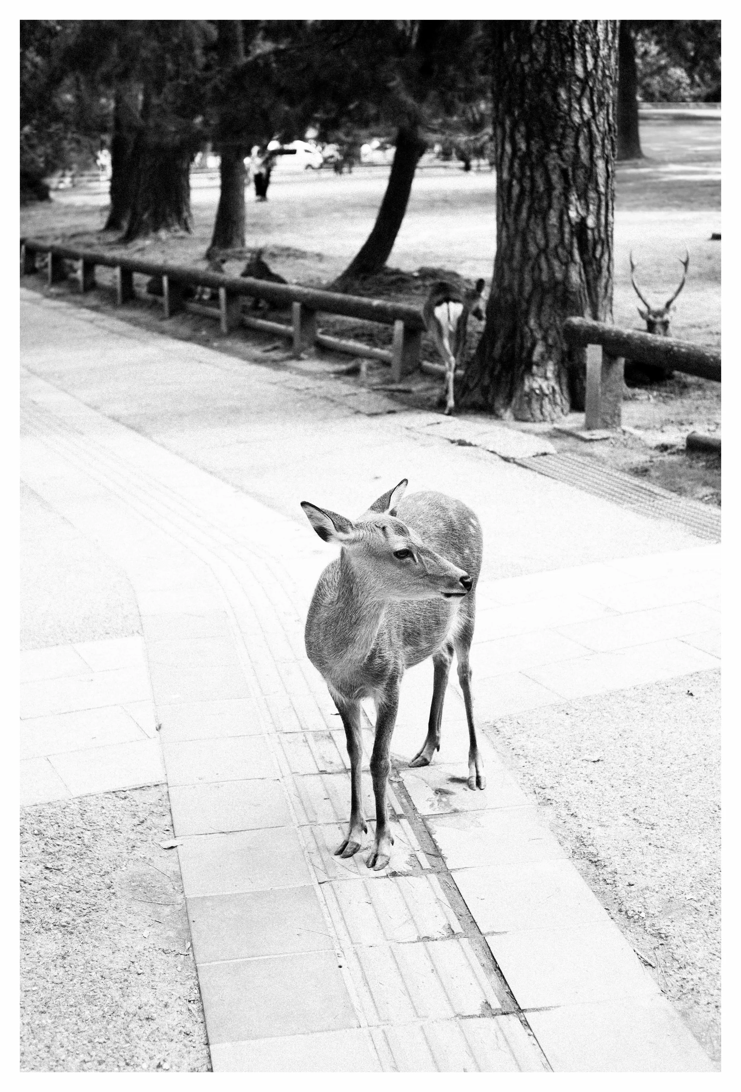 10-2-23 Colored COMP.jpg