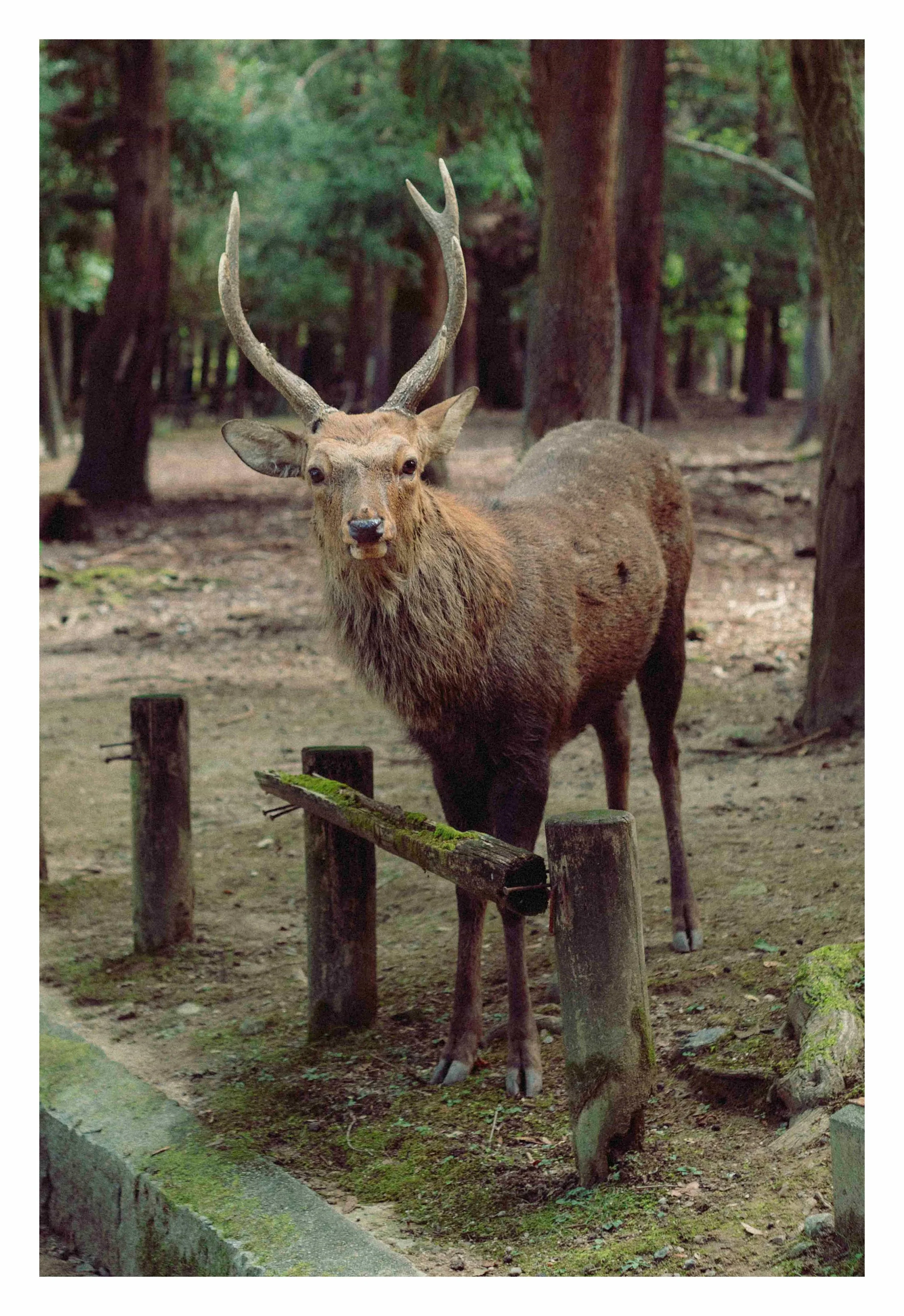 10-2-23 Colored-3 COMP.jpg