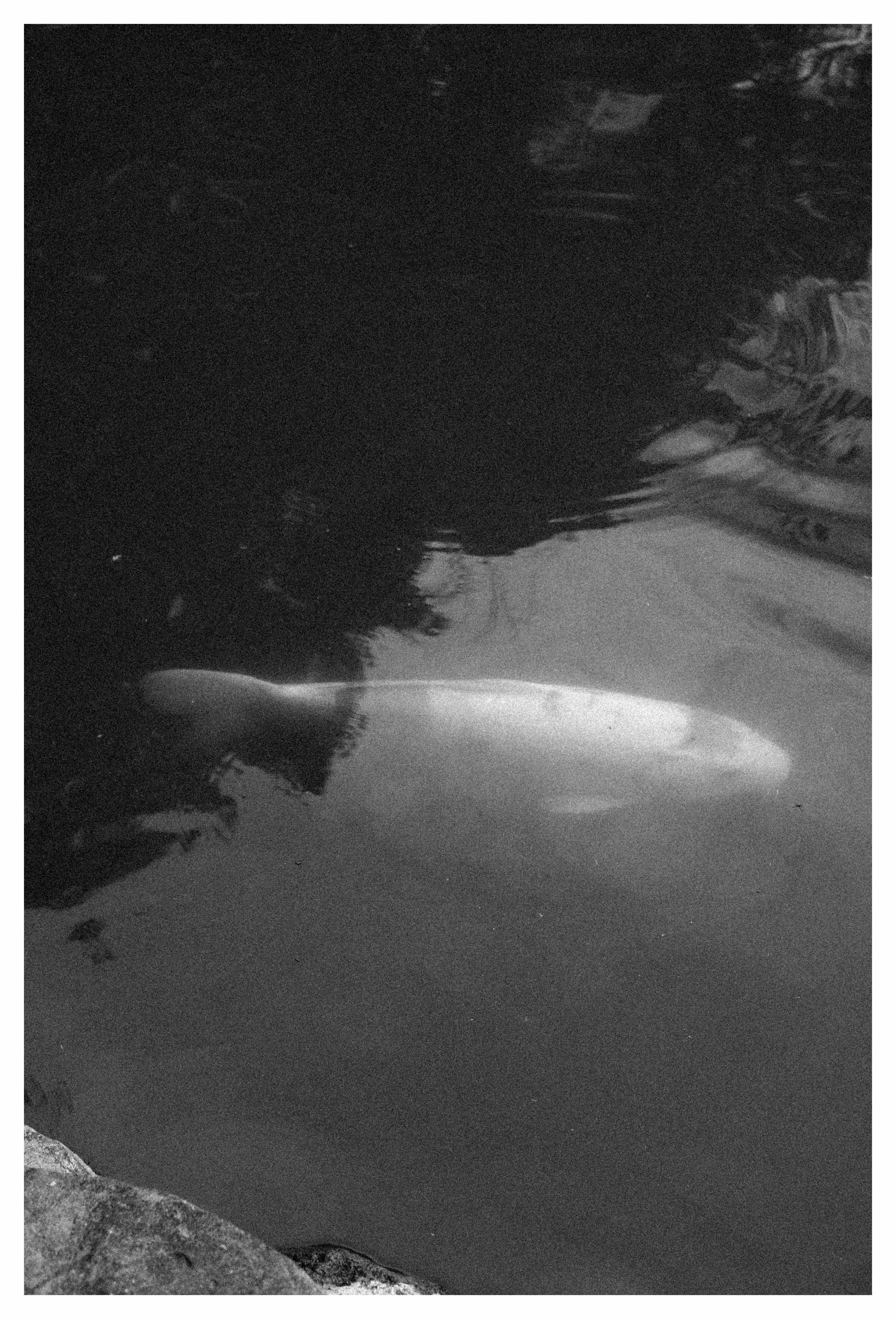 10-2-23 Colored-5 COMP.jpg