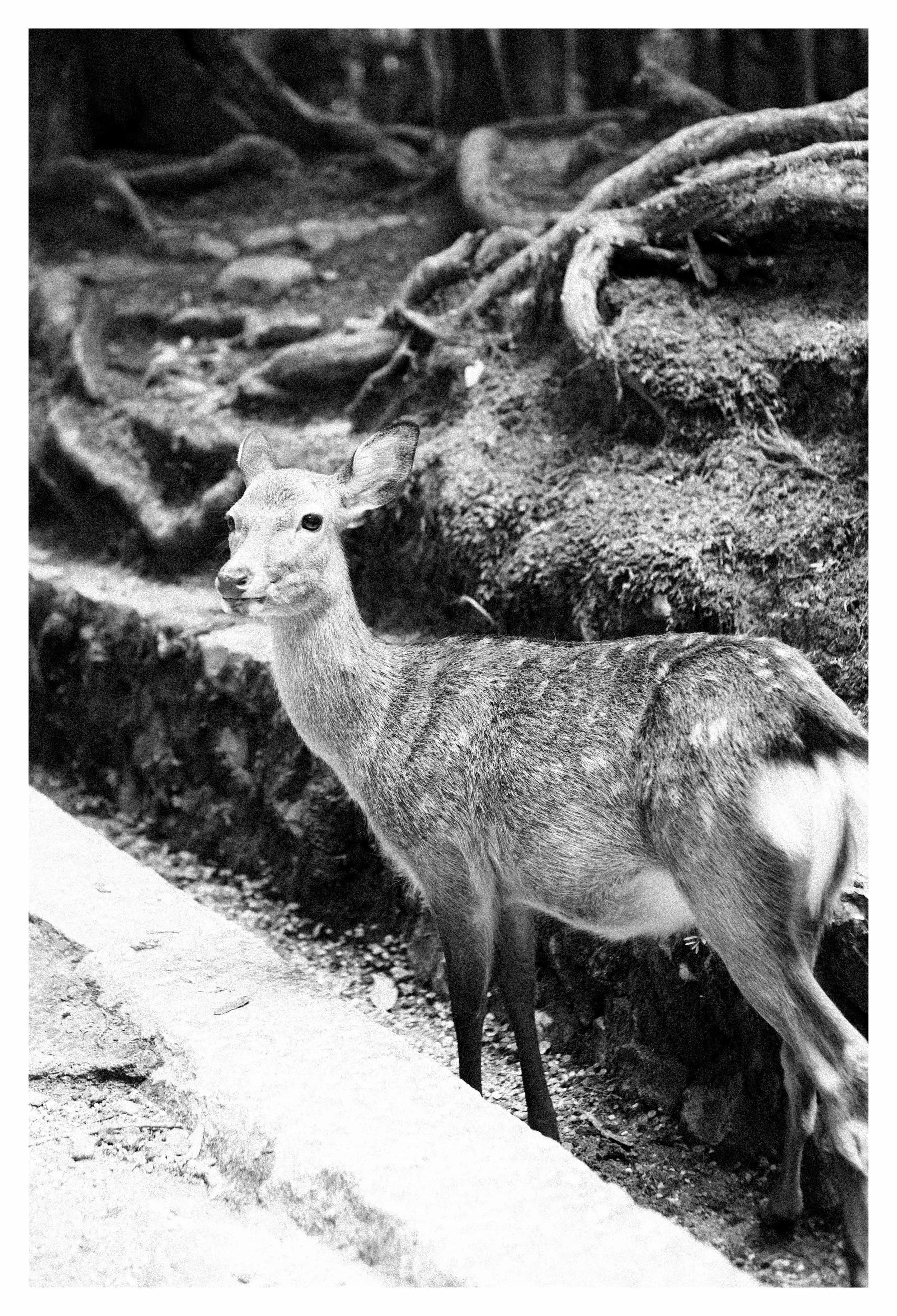 10-2-23 Colored-10 COMP.jpg