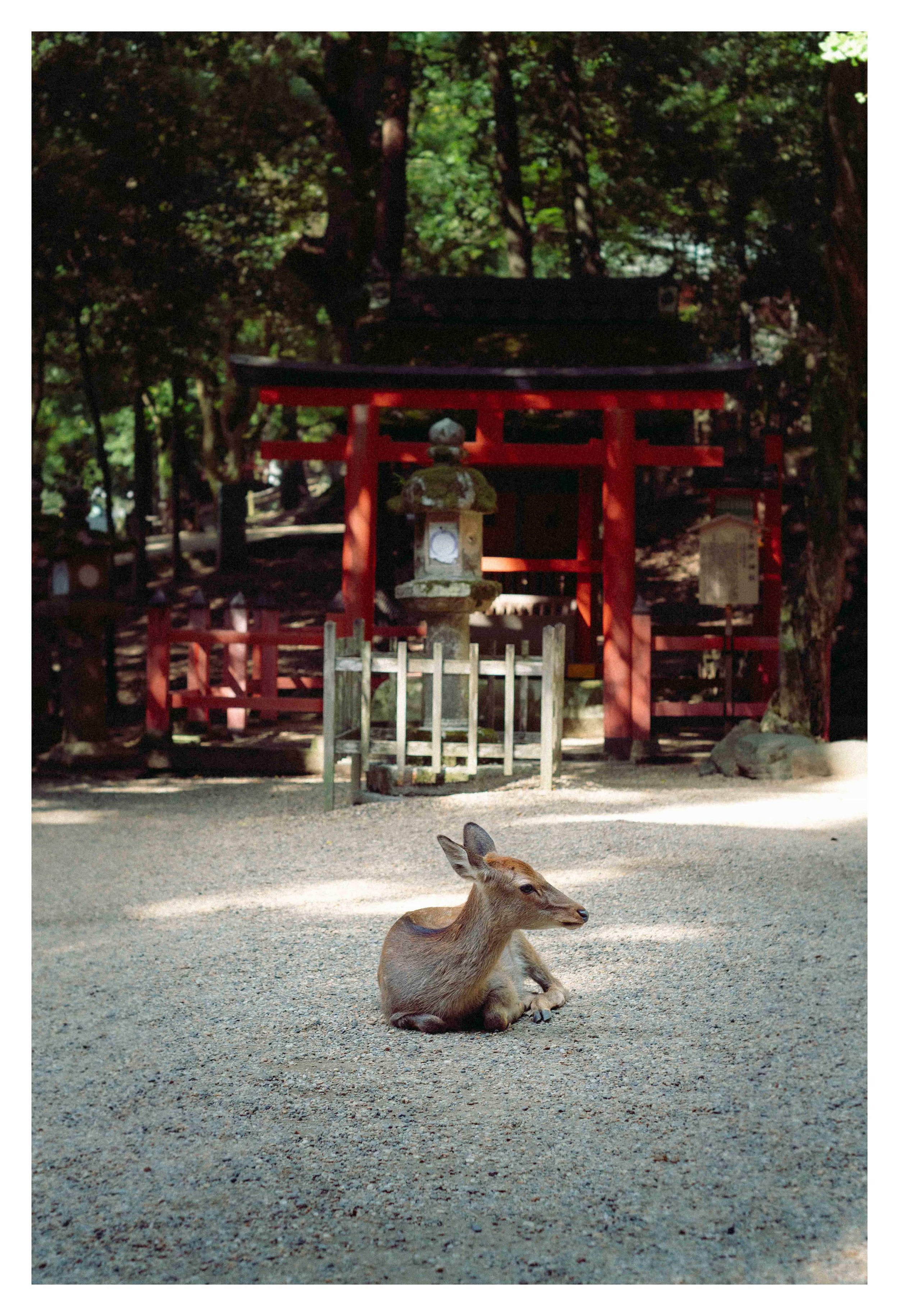 10-2-23 Colored-14 COMP.jpg