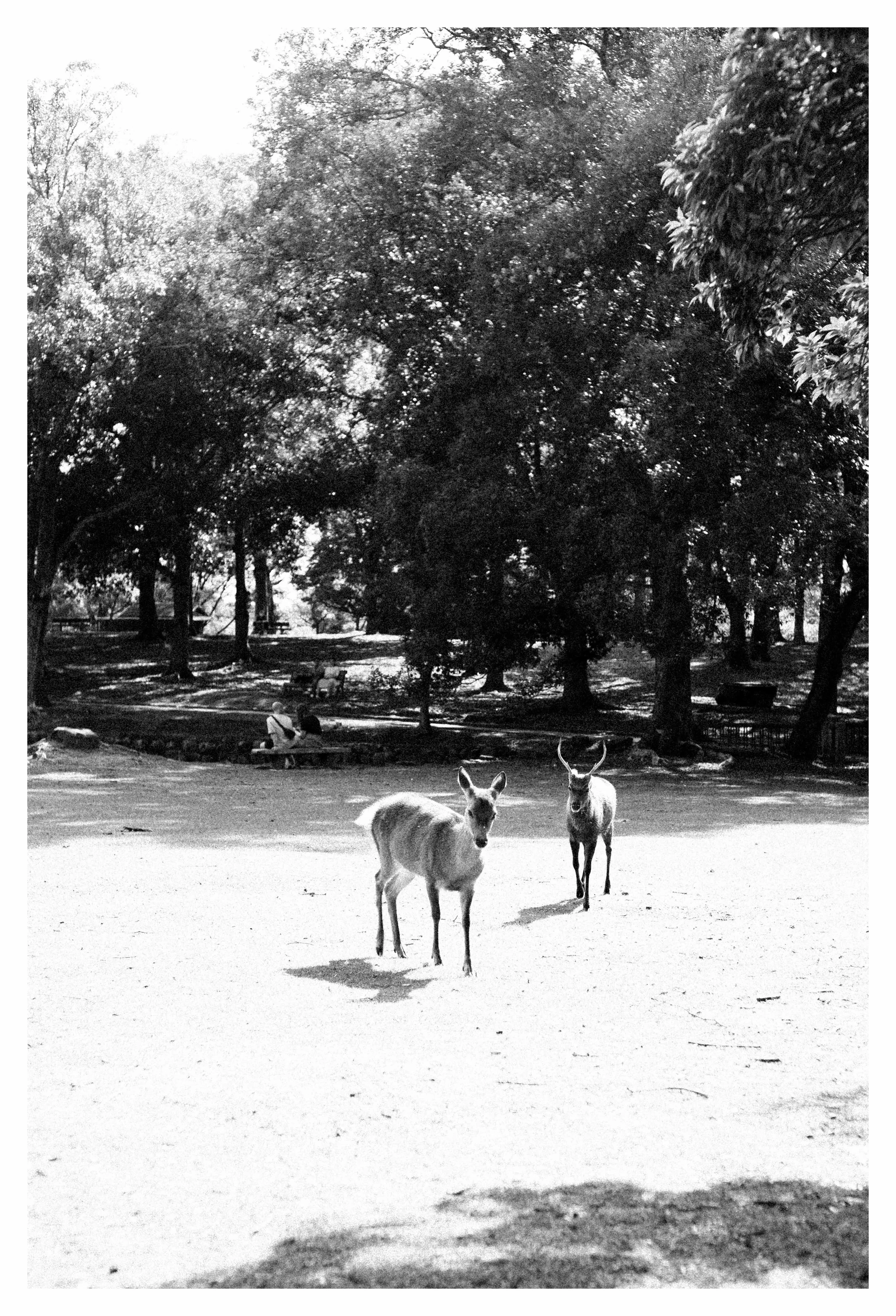 10-2-23 Colored-16 COMP.jpg