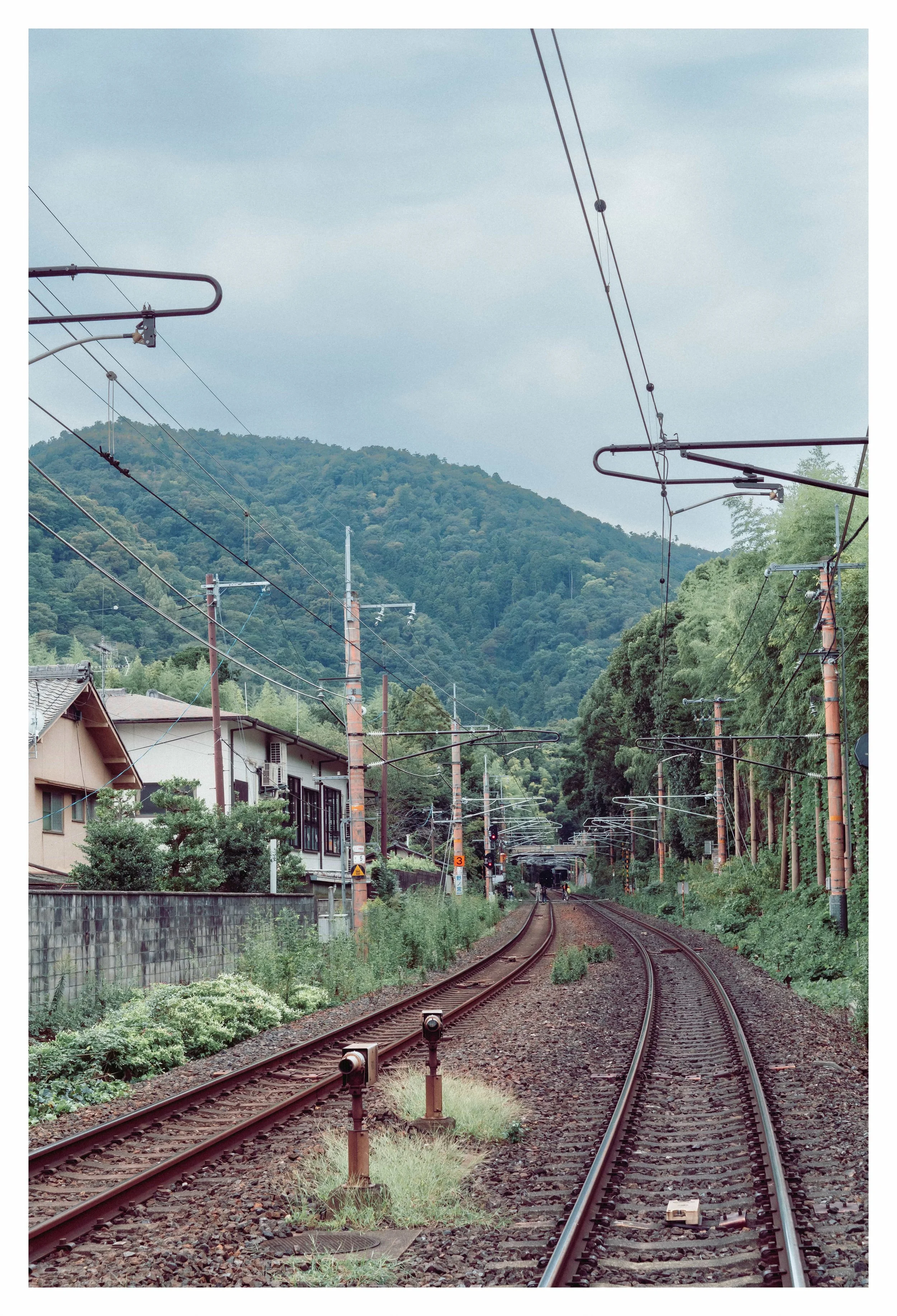 10-3-23 Colored-2 COMP.jpeg