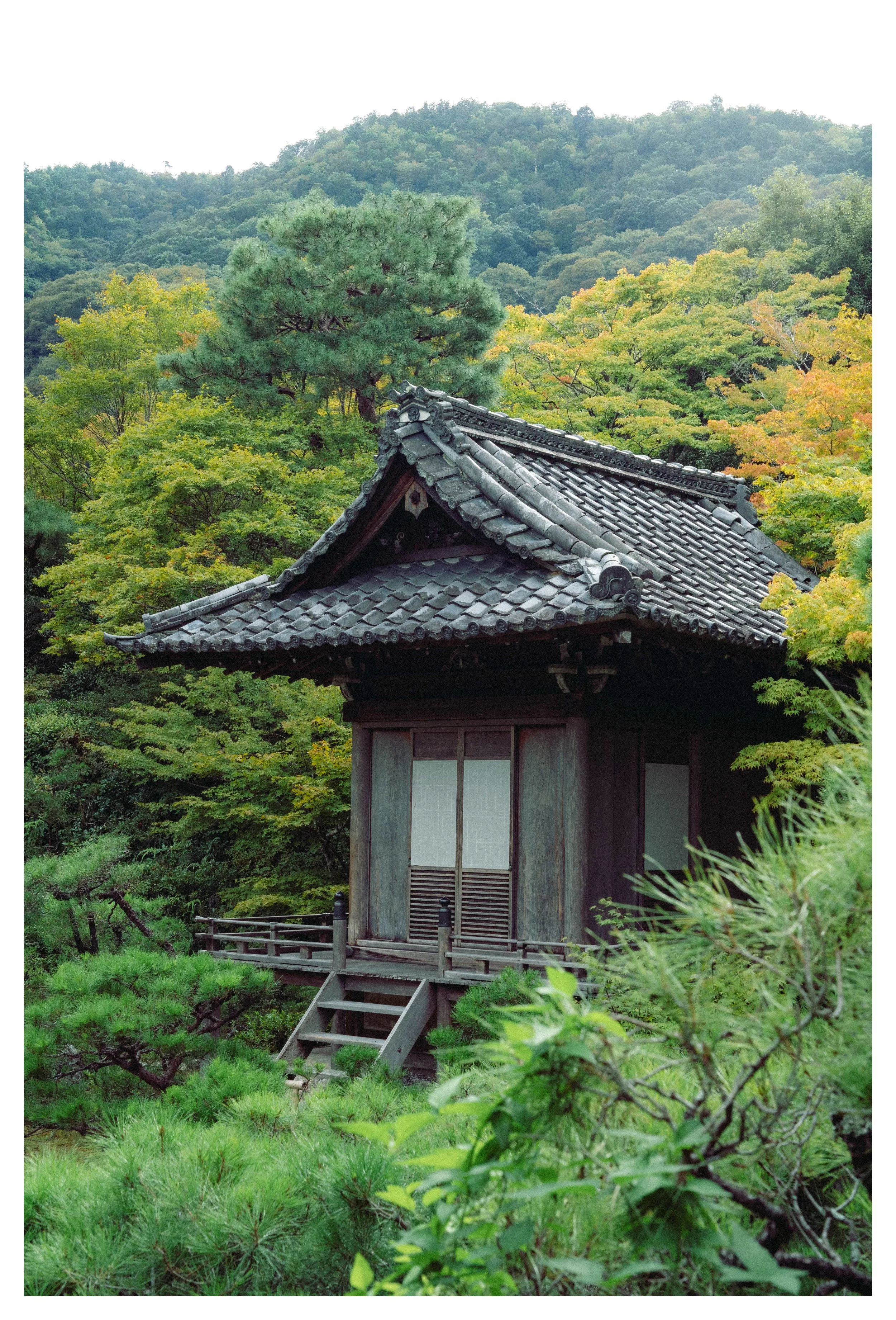 10-3-23 Colored-14 COMP.jpeg