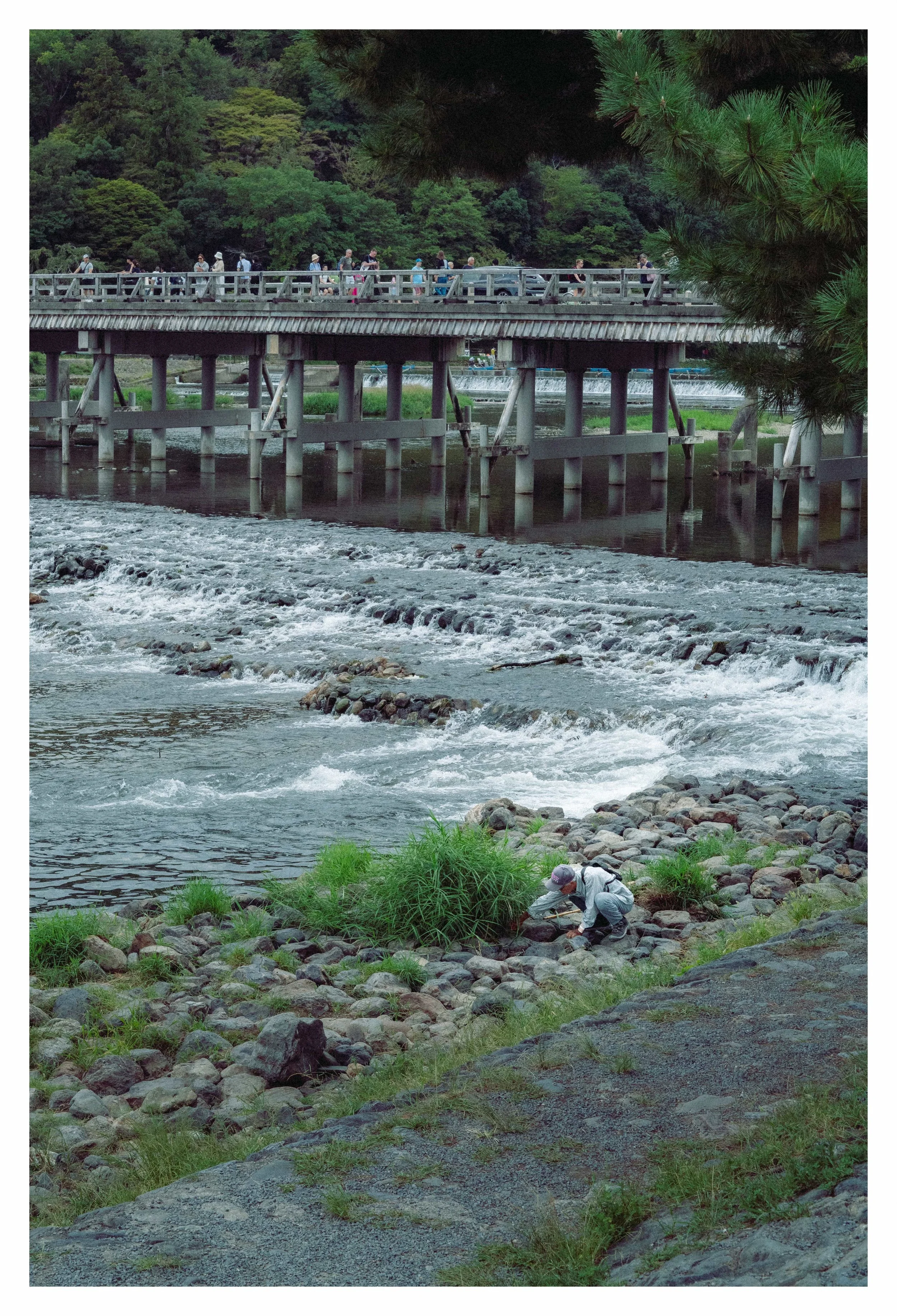 10-3-23 Colored-22 COMP.jpeg