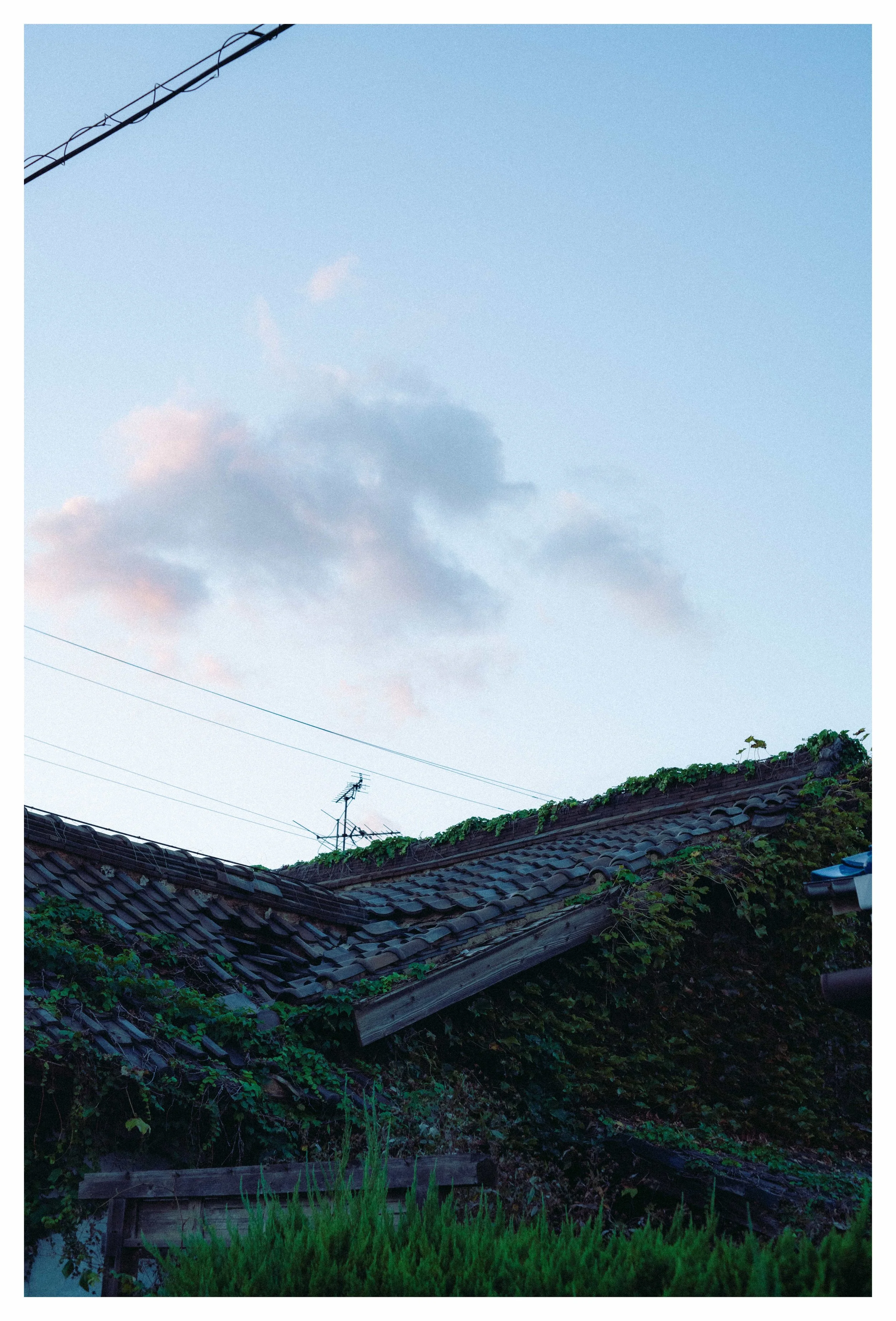 10-6-23 Colored-18 COMP.jpg