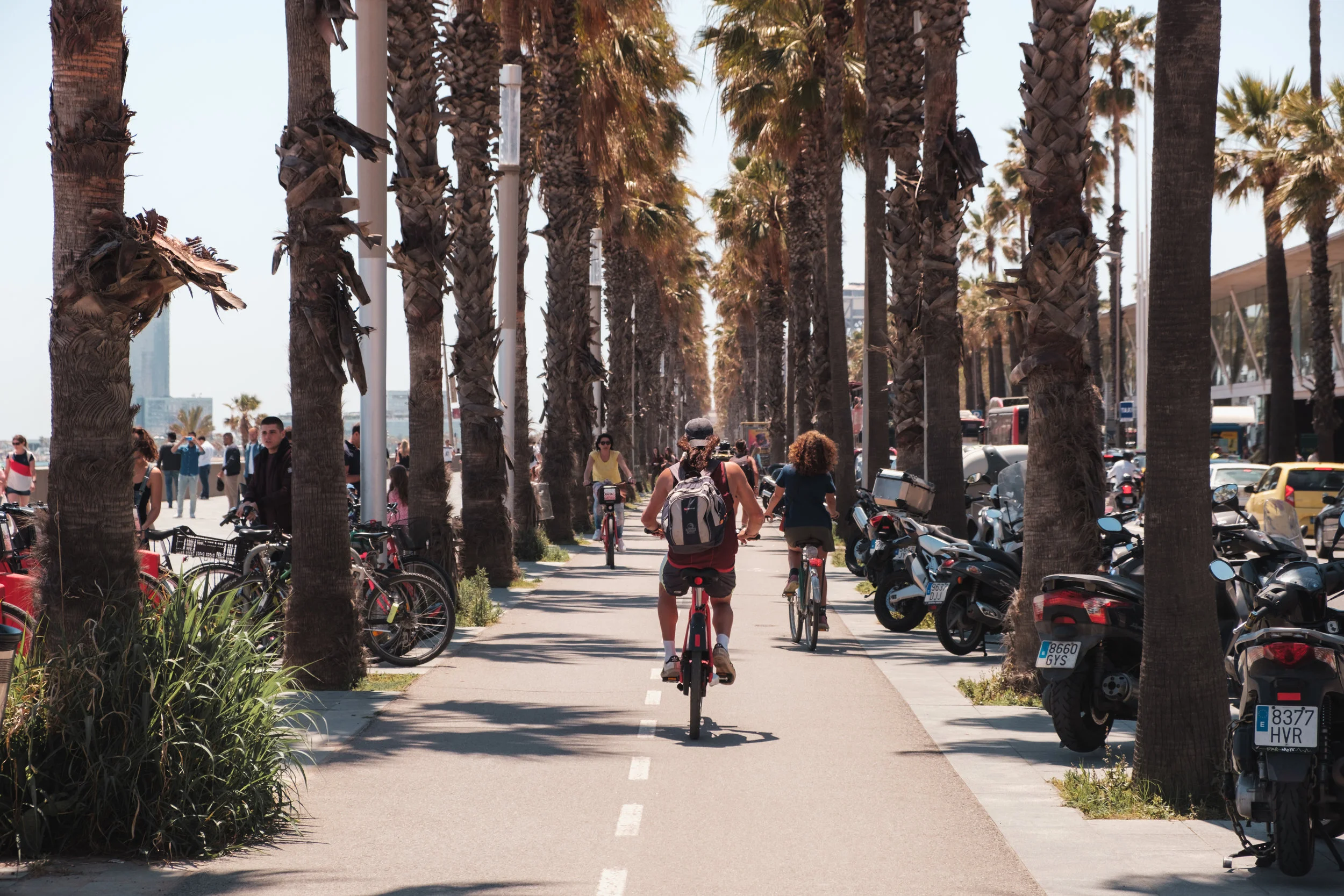 The Best Barcelona Bike Tours For 2021