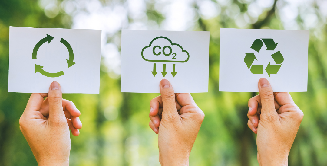 Eco-Friendly Travel: Sustainable Bike Tours in Barcelona with Buena Vista Tours