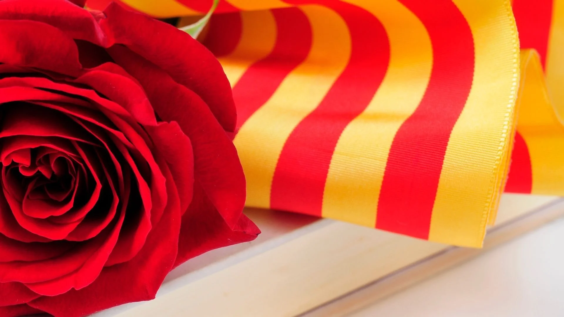 Sant Jordi in April: Barcelona &amp; Buena Vista Bike Tours