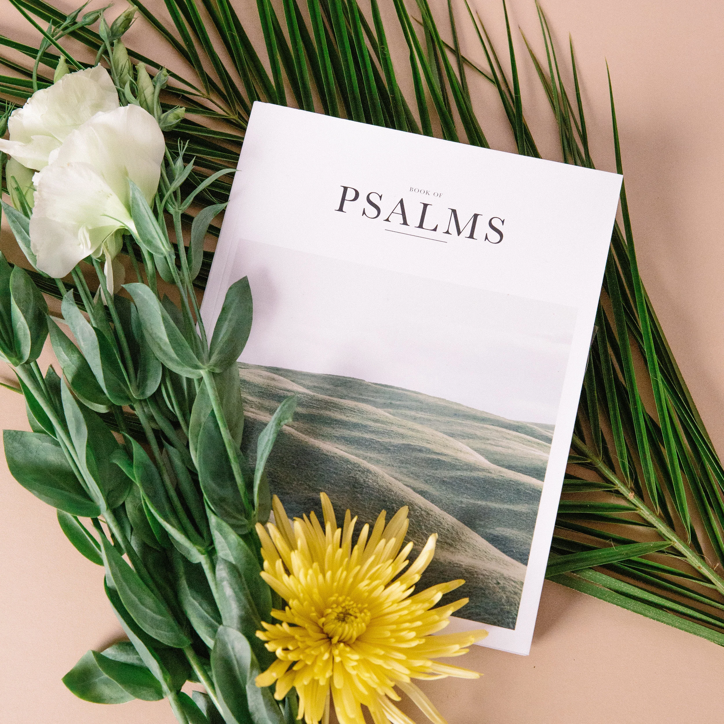 Article - What Does Psalm 135:6 Mean for the Coronavirus?