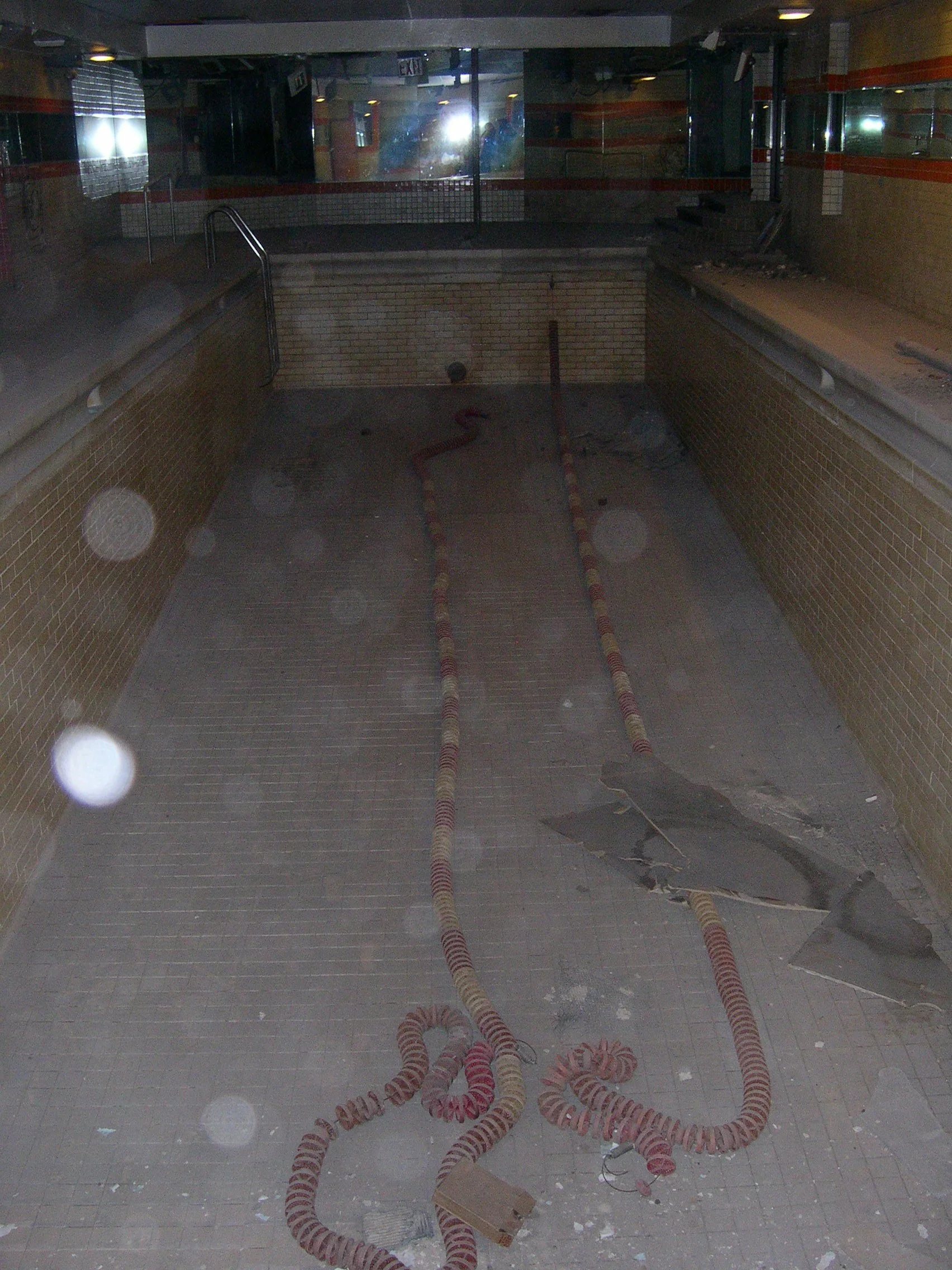 Picture 523.jpg