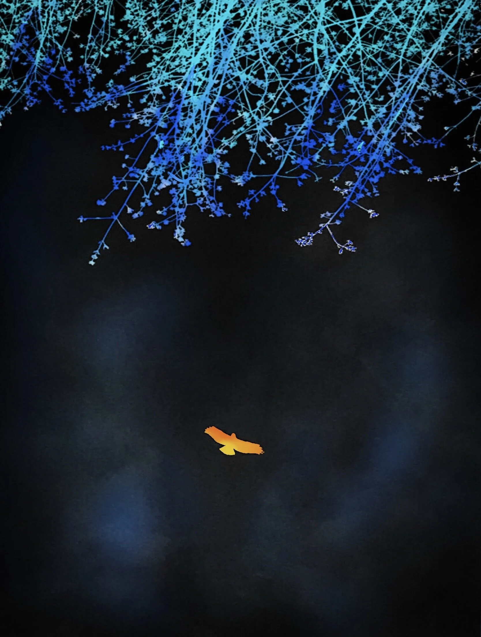 Faster Above the Wing 2019