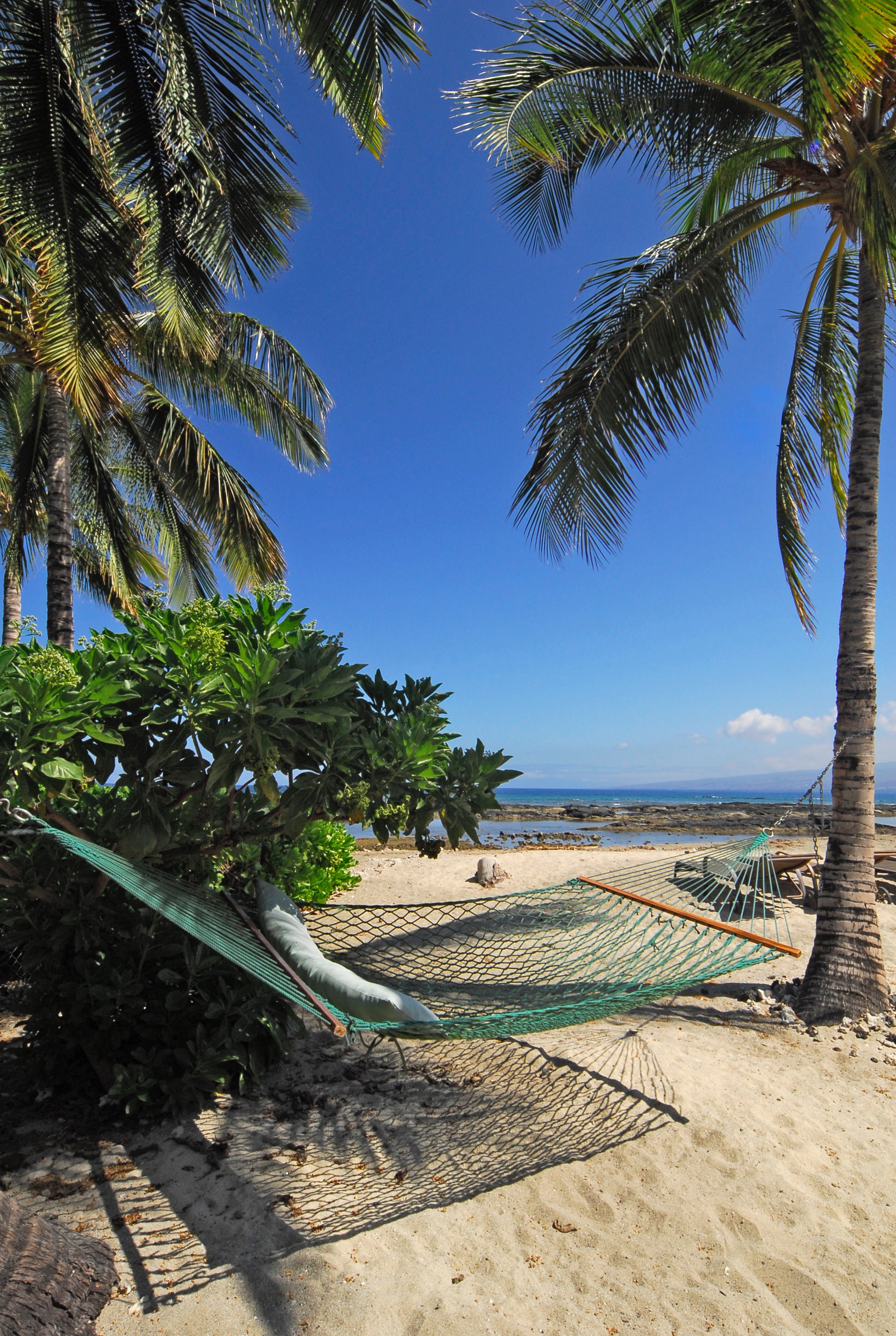 hammock.jpg