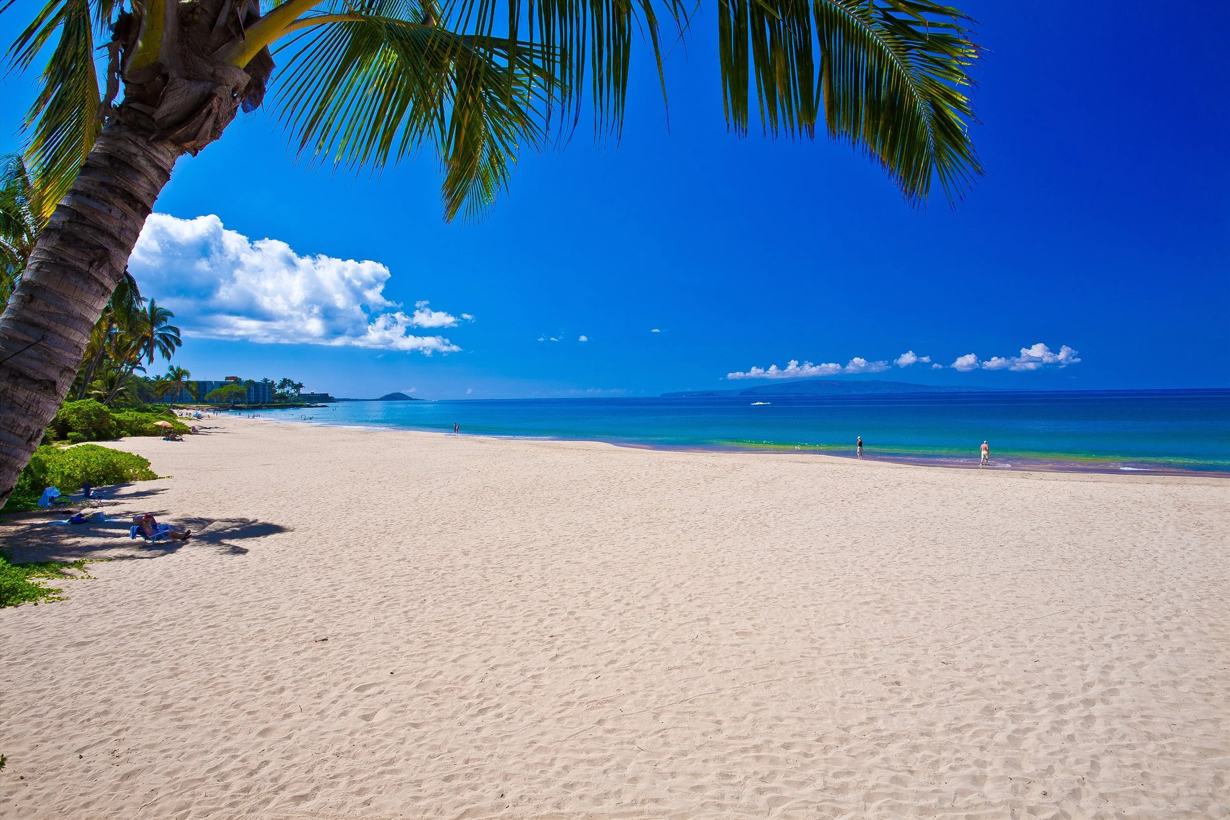 CharleyYoungBeach50.jpg