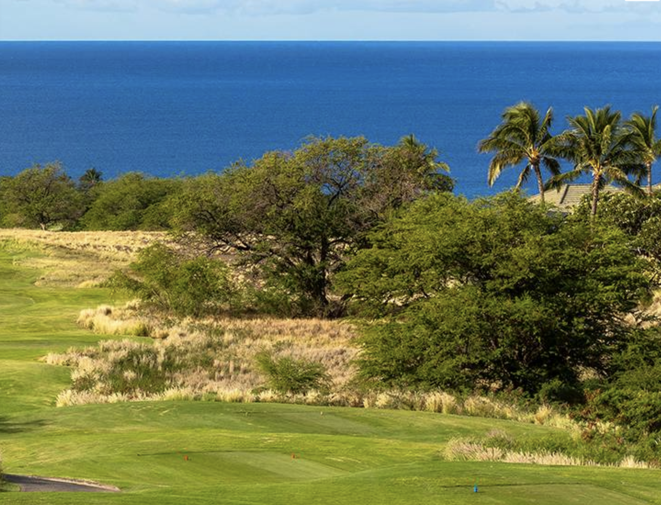 Screenshot 2026-01-11 at 9.11.12 PM.png