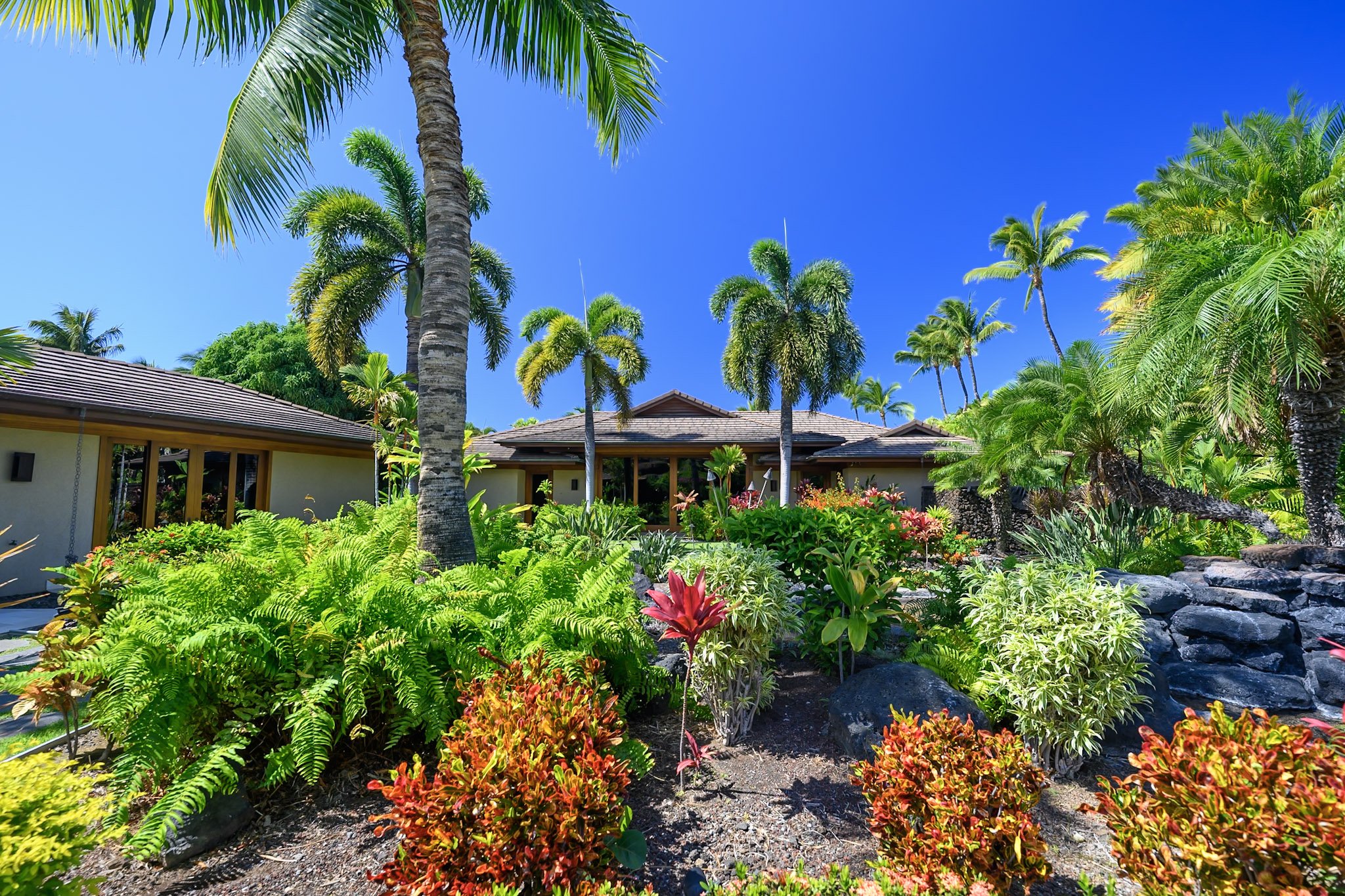 12-Pauoa 105039-74.jpg