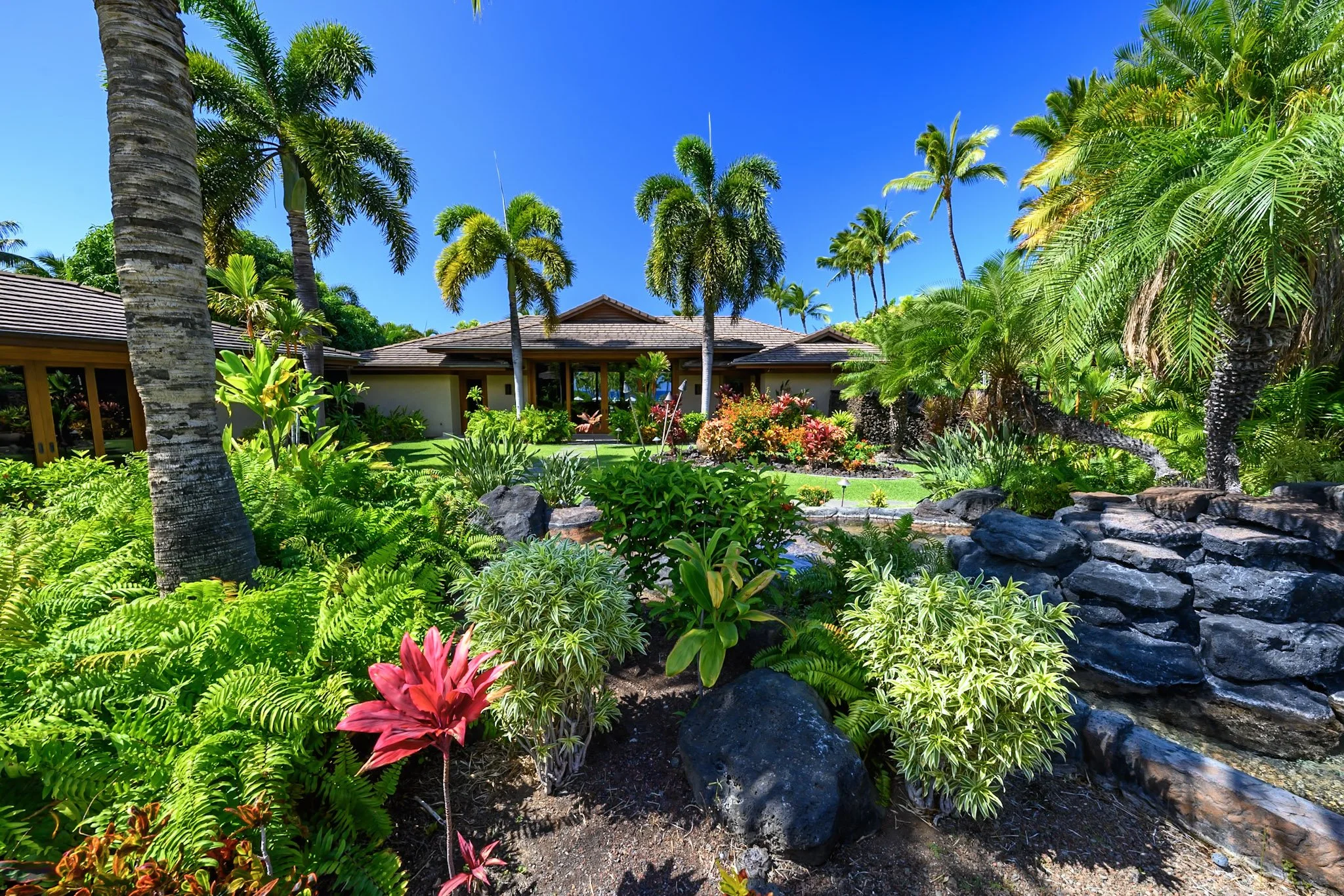 25-Pauoa 105039-99.jpg