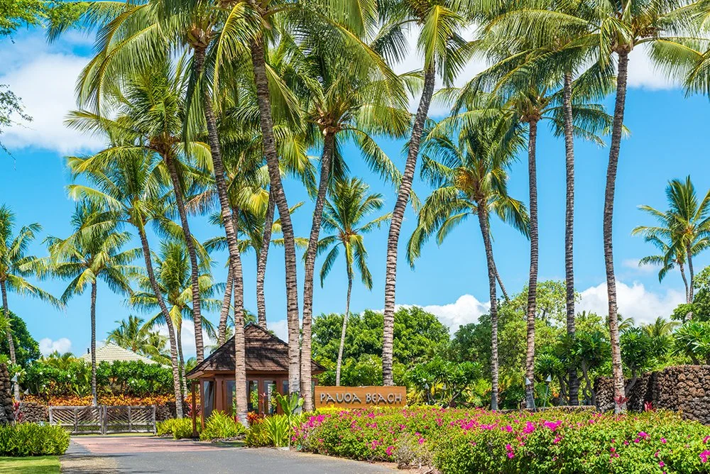 Pauoa Beach 2018 --- 16.JPG