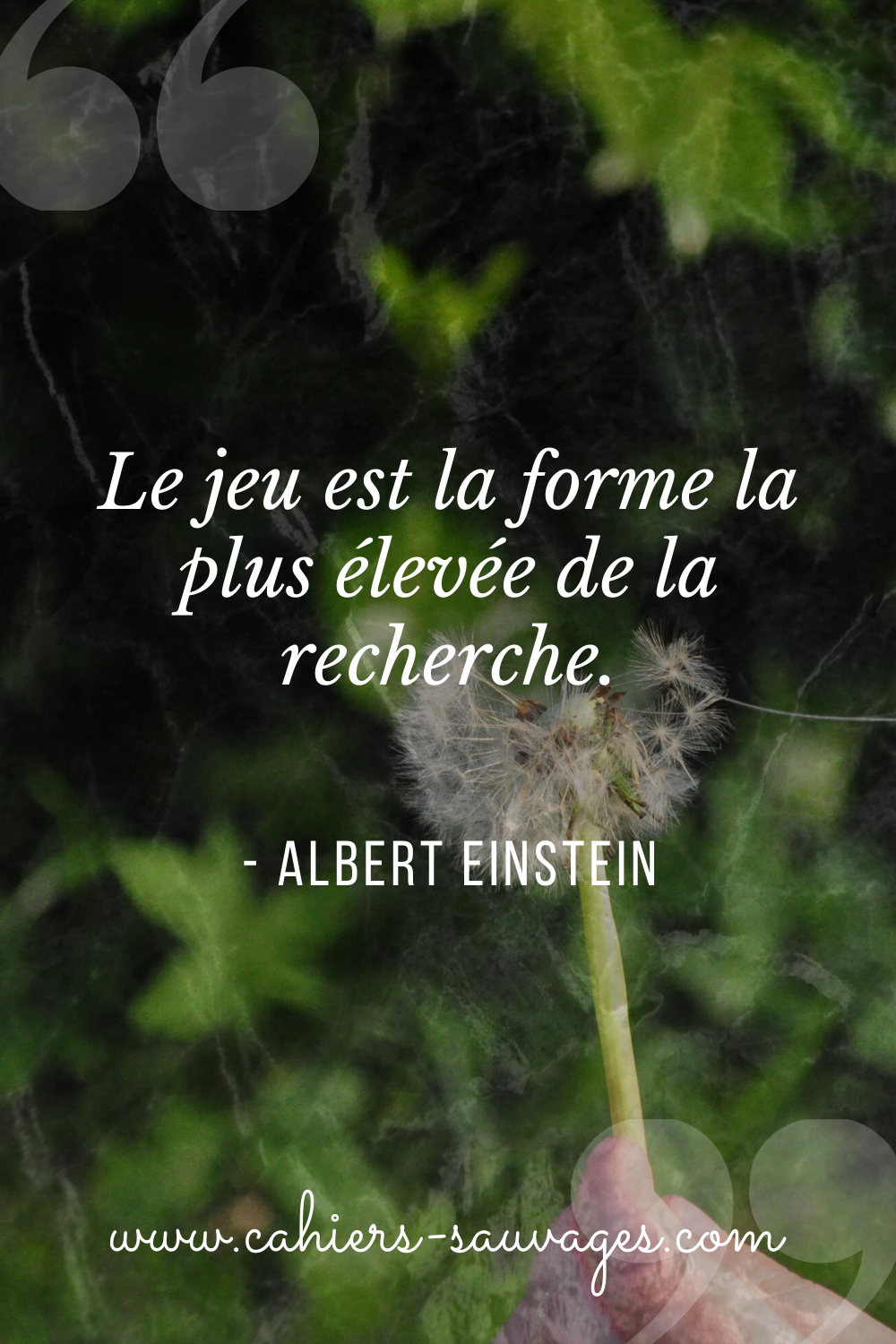 Citations Cahiers Sauvages