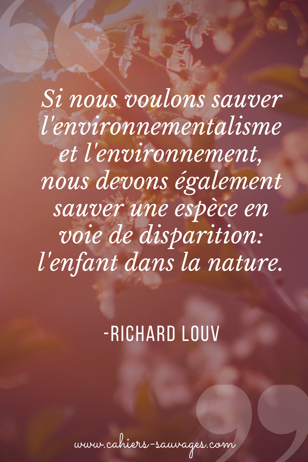 Citations Cahiers Sauvages