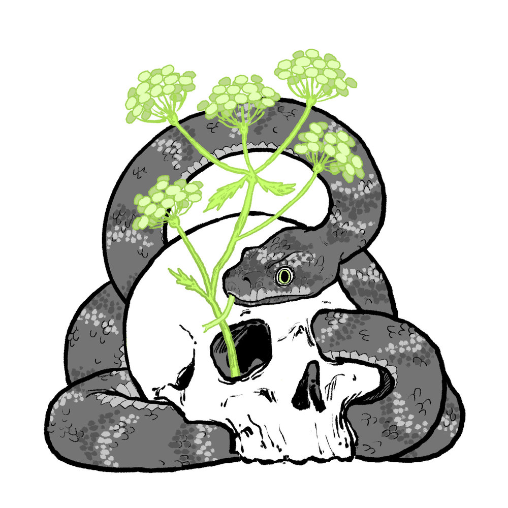 Neon Hemlock Skull & Snake