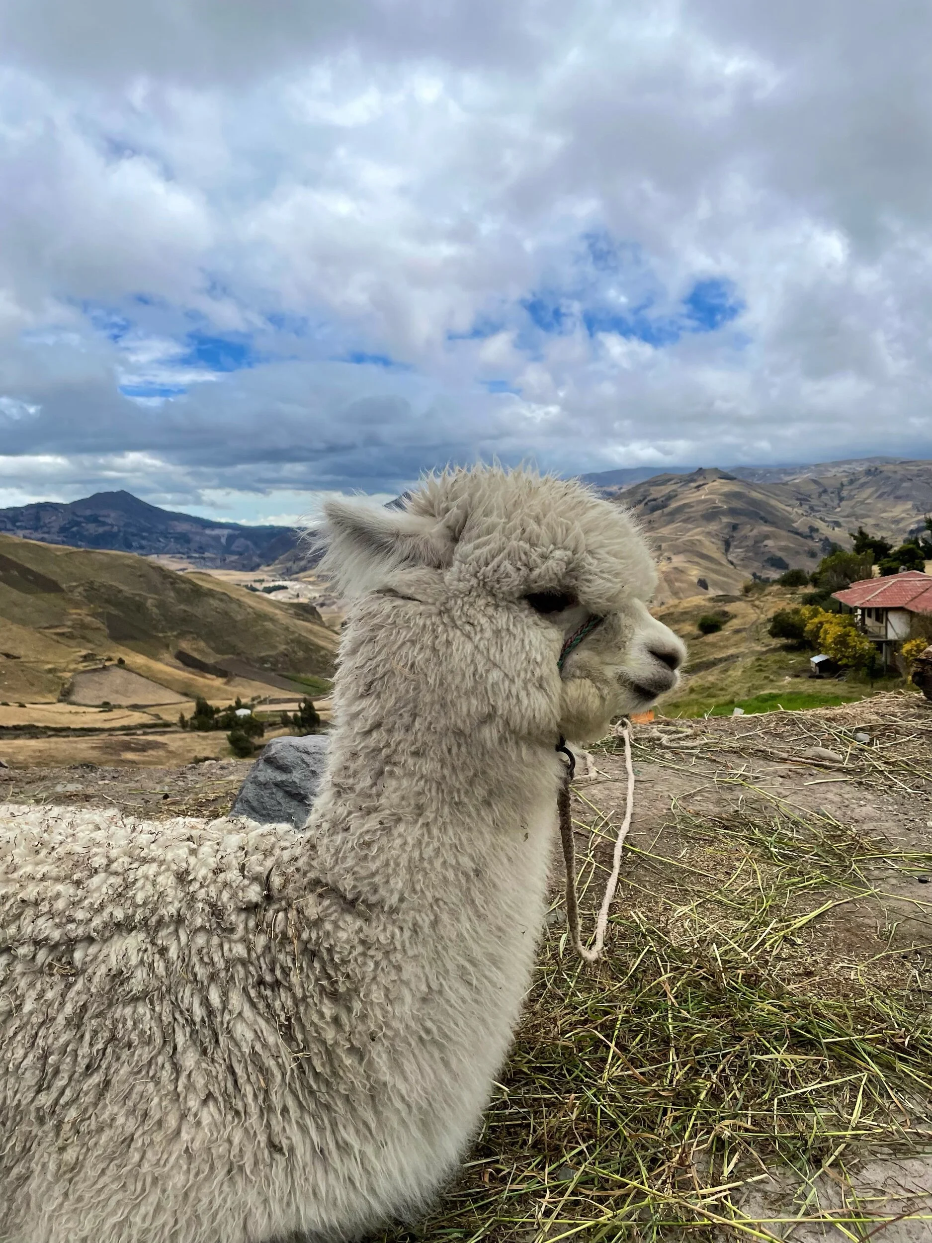 Packing List for South America