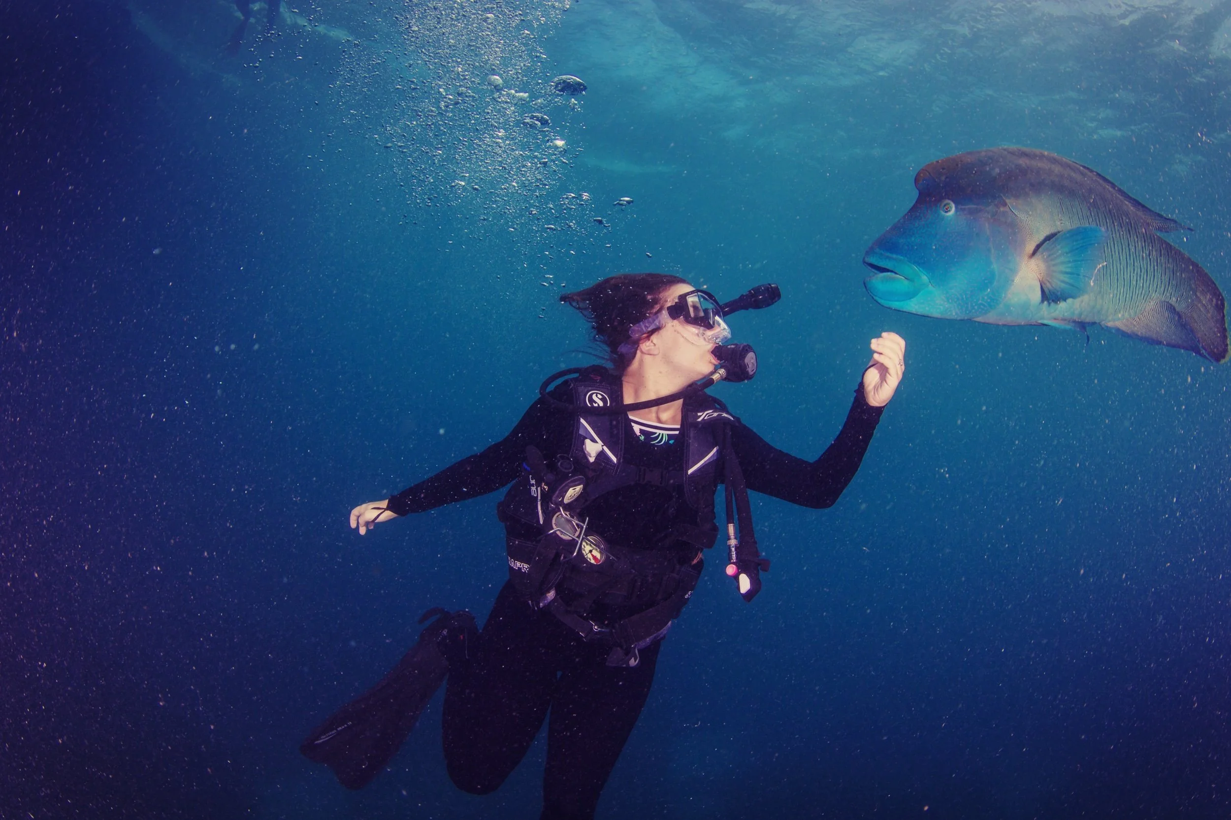 Bucket List Places to see Before They Disappear