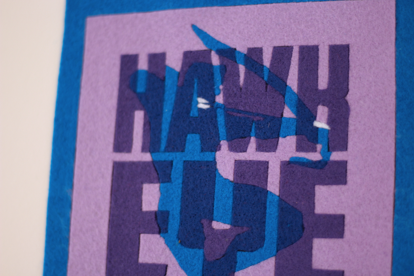 Hawkeye Detail 2.jpg