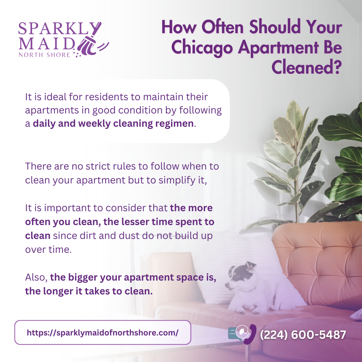 DIY Natural Cleaning Solutions - PPM Apartments, Chicago