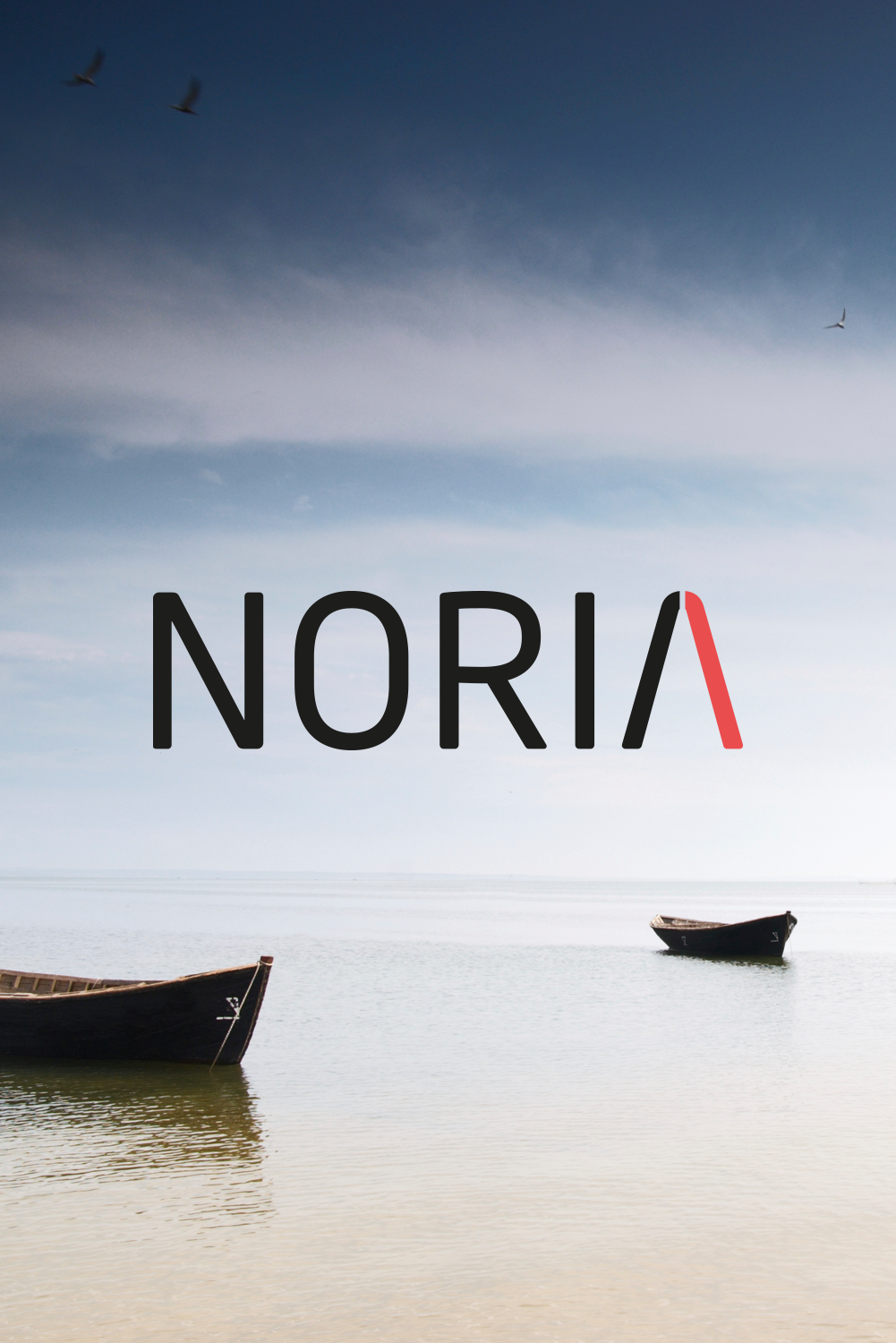 Noria Insurance Software - Brand Identity