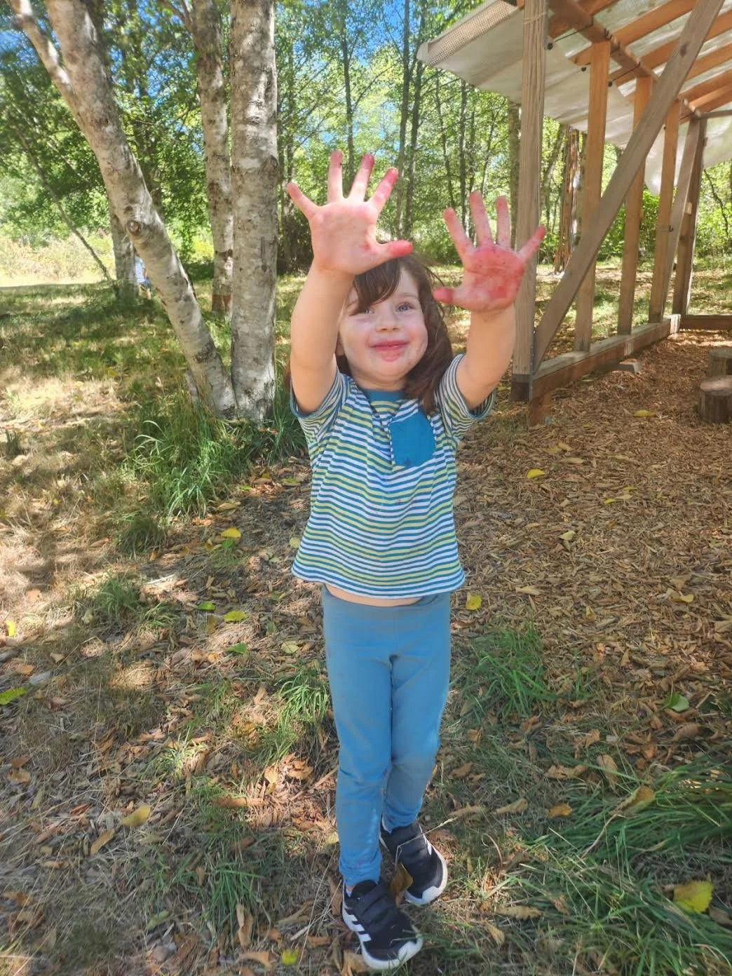 Summer Camps — Whidbey Island Waldorf School