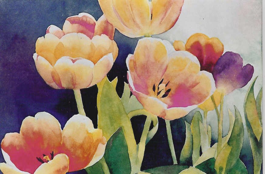 Elizabeth Phieffer Radiant Tulips - sm.jpg