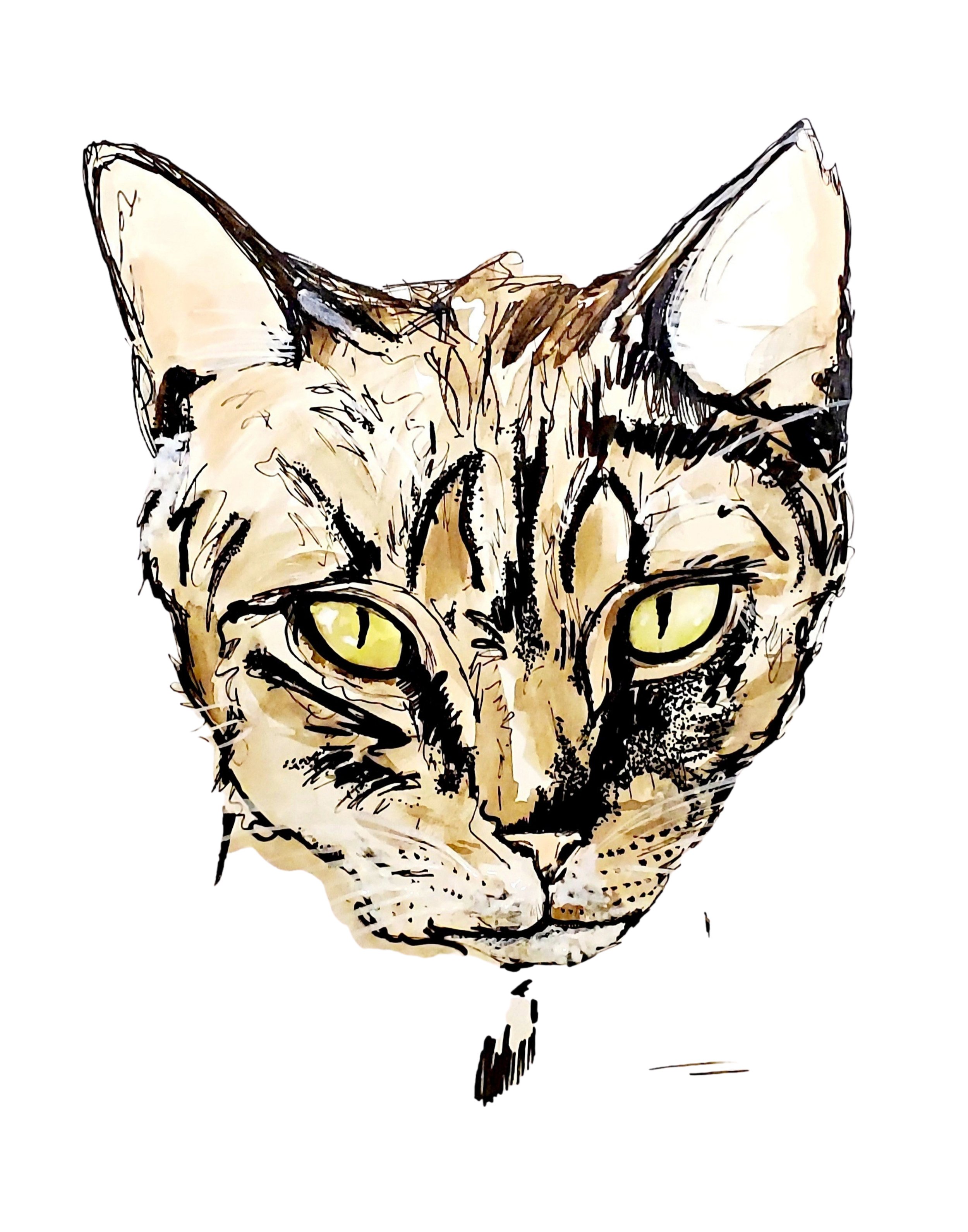 CARree_alley cat drawing 2022.jpg