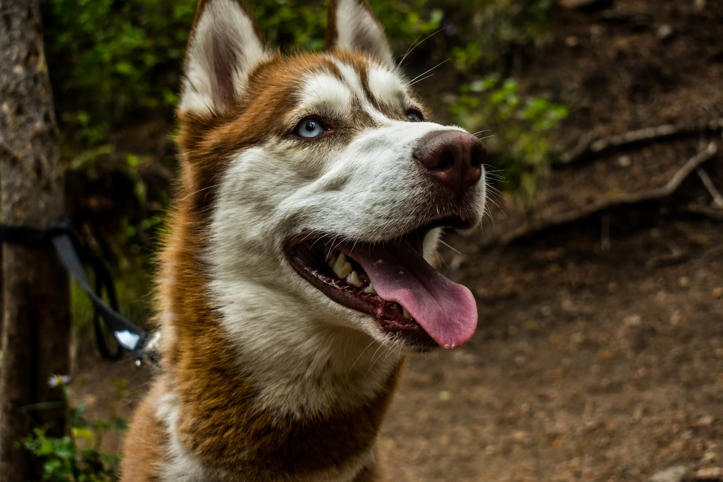 DSC_2787.jpg