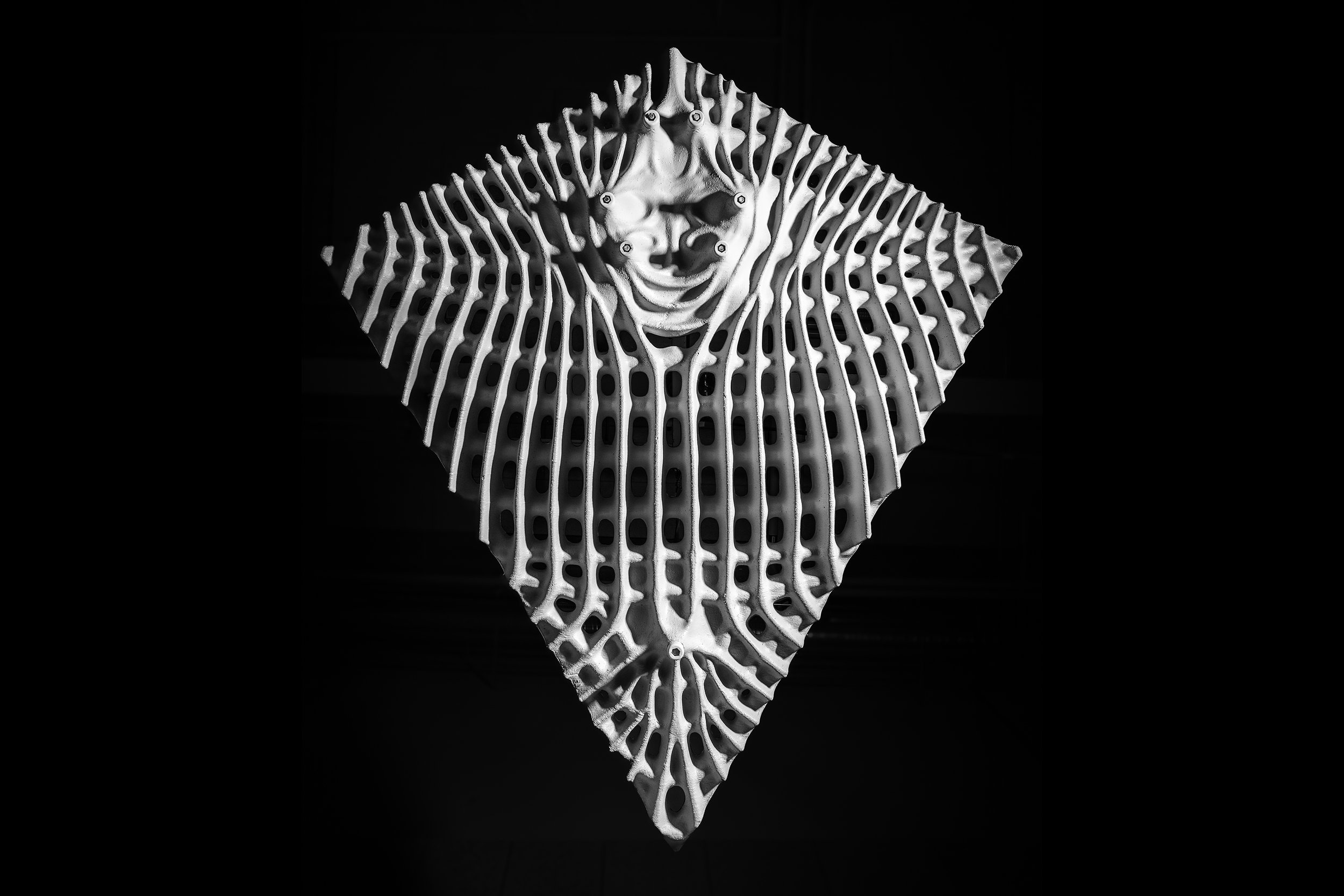 LAMELLAE ROOF