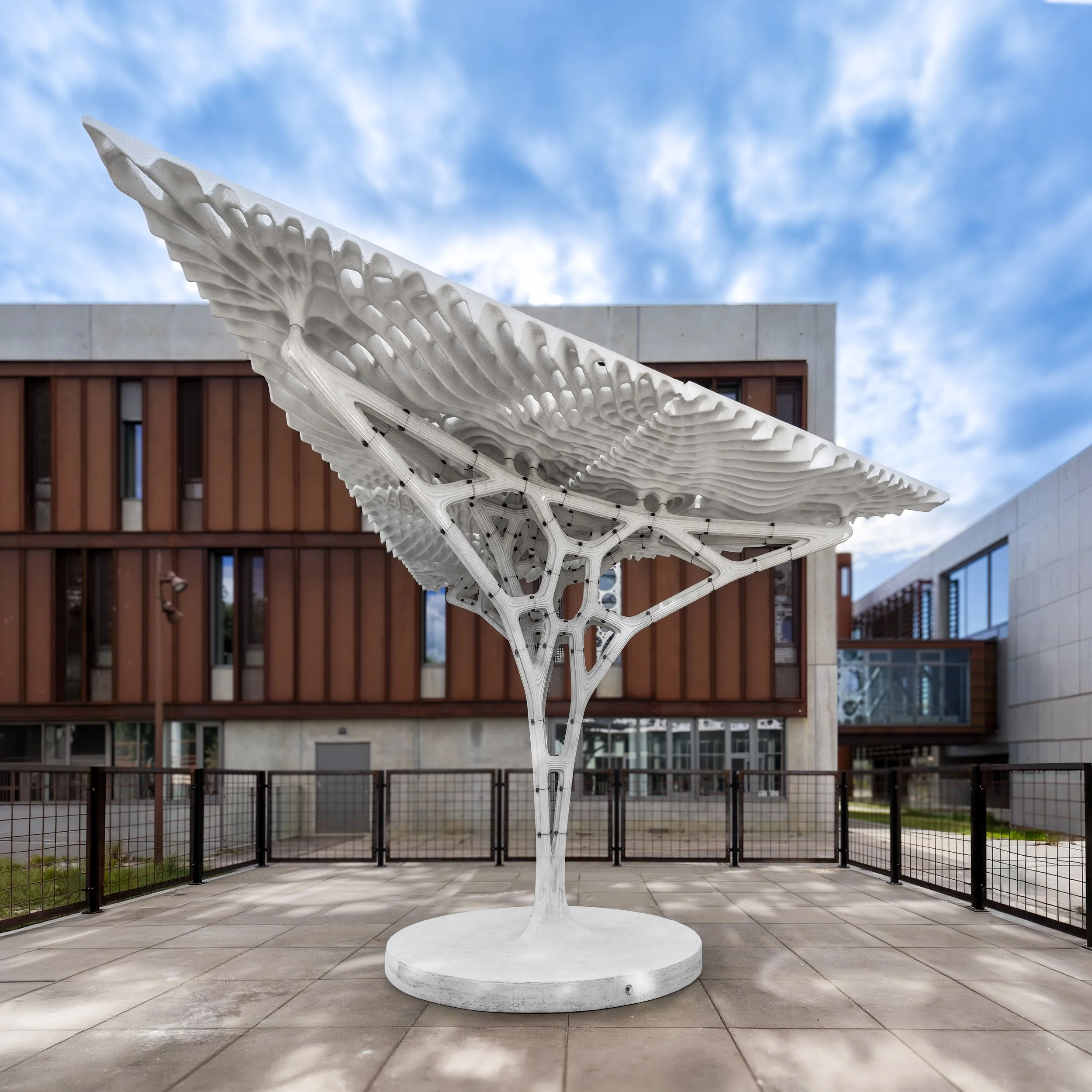 POLYHEDRAL CANOPY