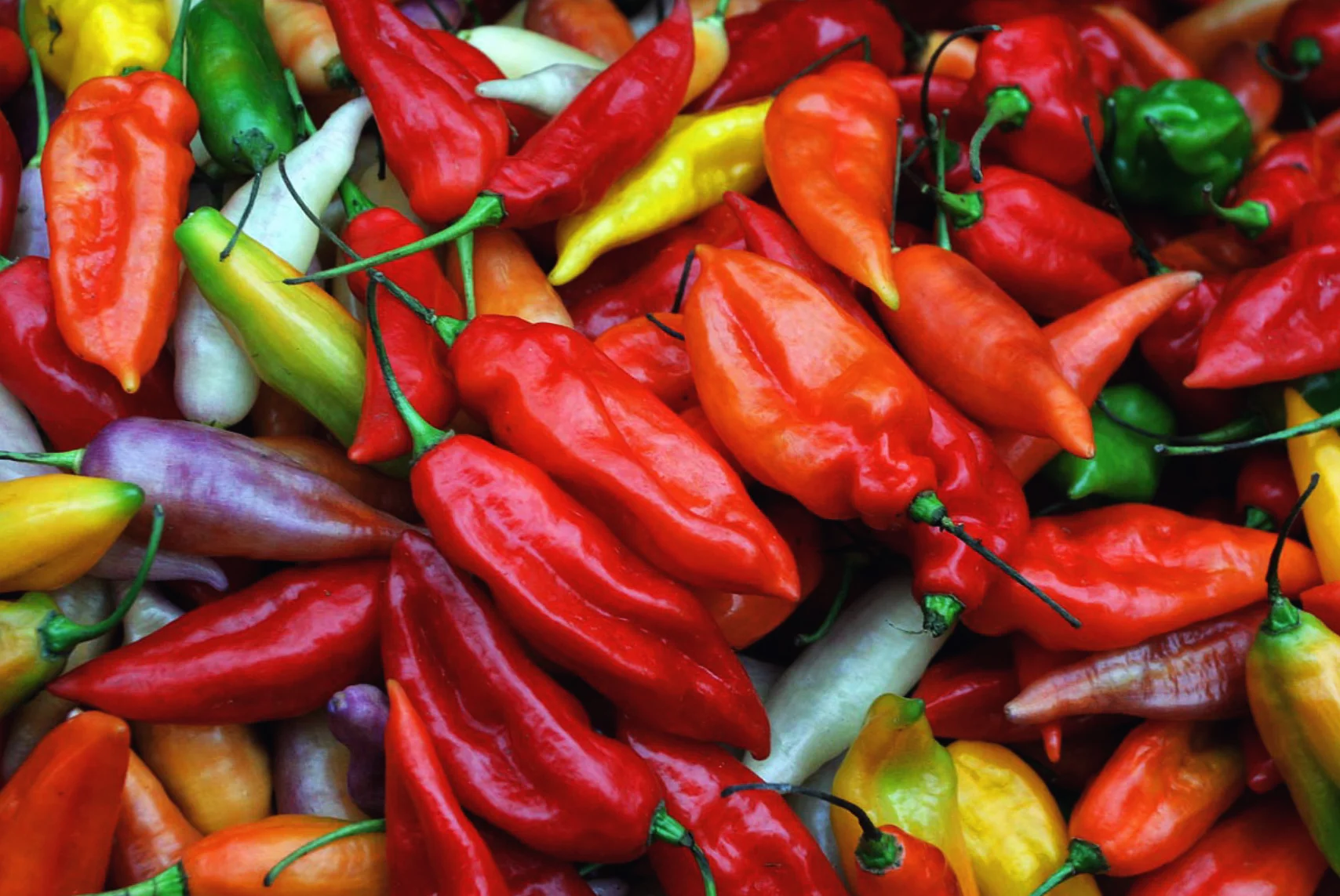 El ají, excluido e infaltable en nuestra mesa