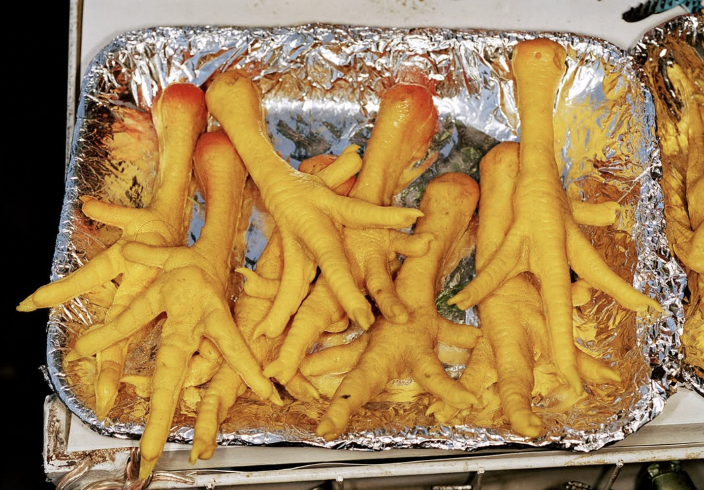 © Martin Parr / Magnum Photos