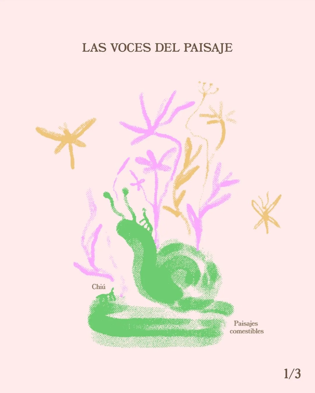 🌱✨Las p&aacute;ginas de Chi&uacute; tienen voz propia. (1/3) 

Desliza para conocer a quienes escriben y fotograf&iacute;an los paisajes comestibles: miradas que transforman la comida en relato y el territorio en memoria.

La preventa sigue abierta 