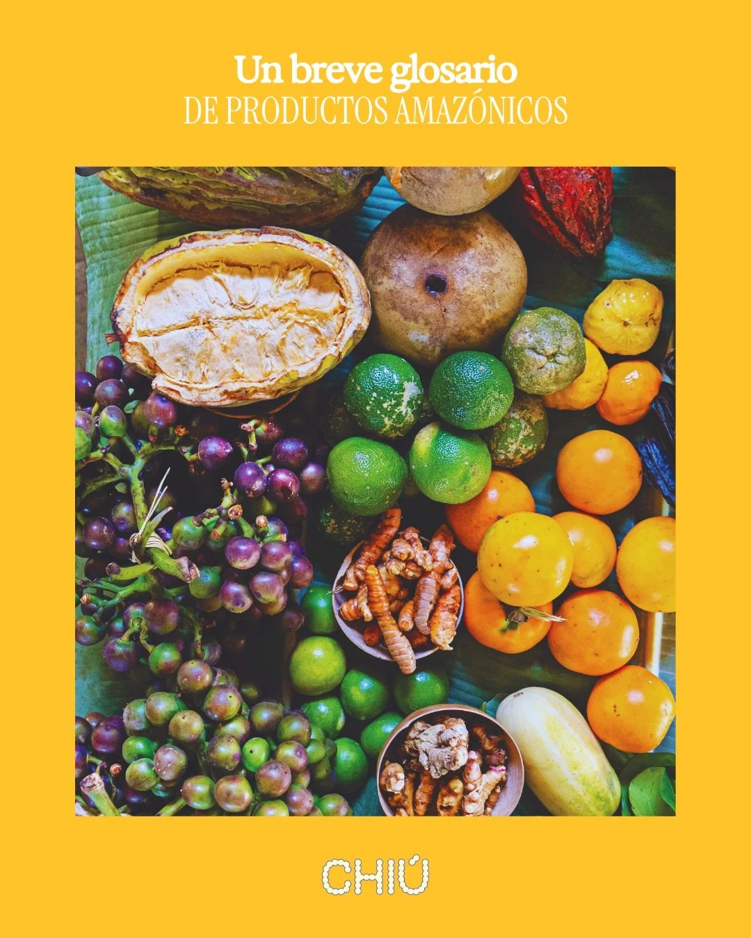 &iquest;Has probado chontacuro, guaba ilta o pit&oacute;n?

Te invitamos a dar un recorrido por los sabores y riqueza de la Amazon&iacute;a, que sorprenden y desaf&iacute;an lo que conocemos.

En la segunda edici&oacute;n de Revista Chi&uacute; encon