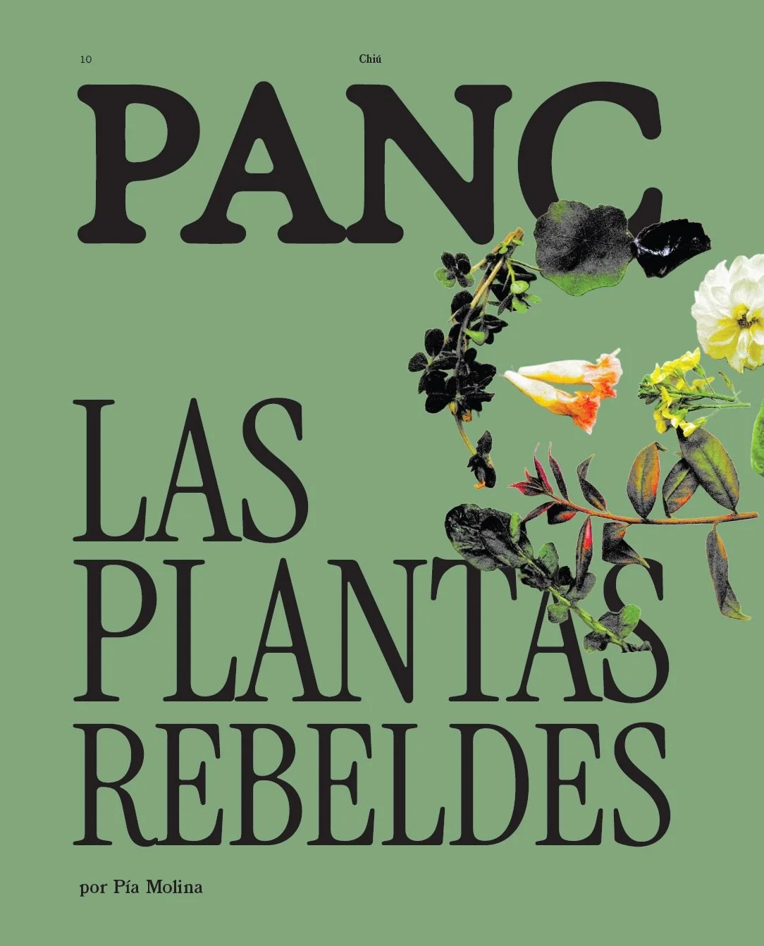&ldquo;Escucho PANC y no puedo evitar pensar en punk. Aunque no tengan relaci&oacute;n directa, ambos irrumpen con rebeld&iacute;a: el punk en la m&uacute;sica, las PANC (plantas alimenticias no convencionales) en la gastronom&iacute;a. Estas plantas