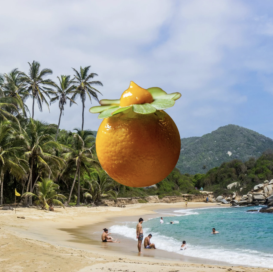 Paisajes comestibles: El Caribe de Celele en Nuema