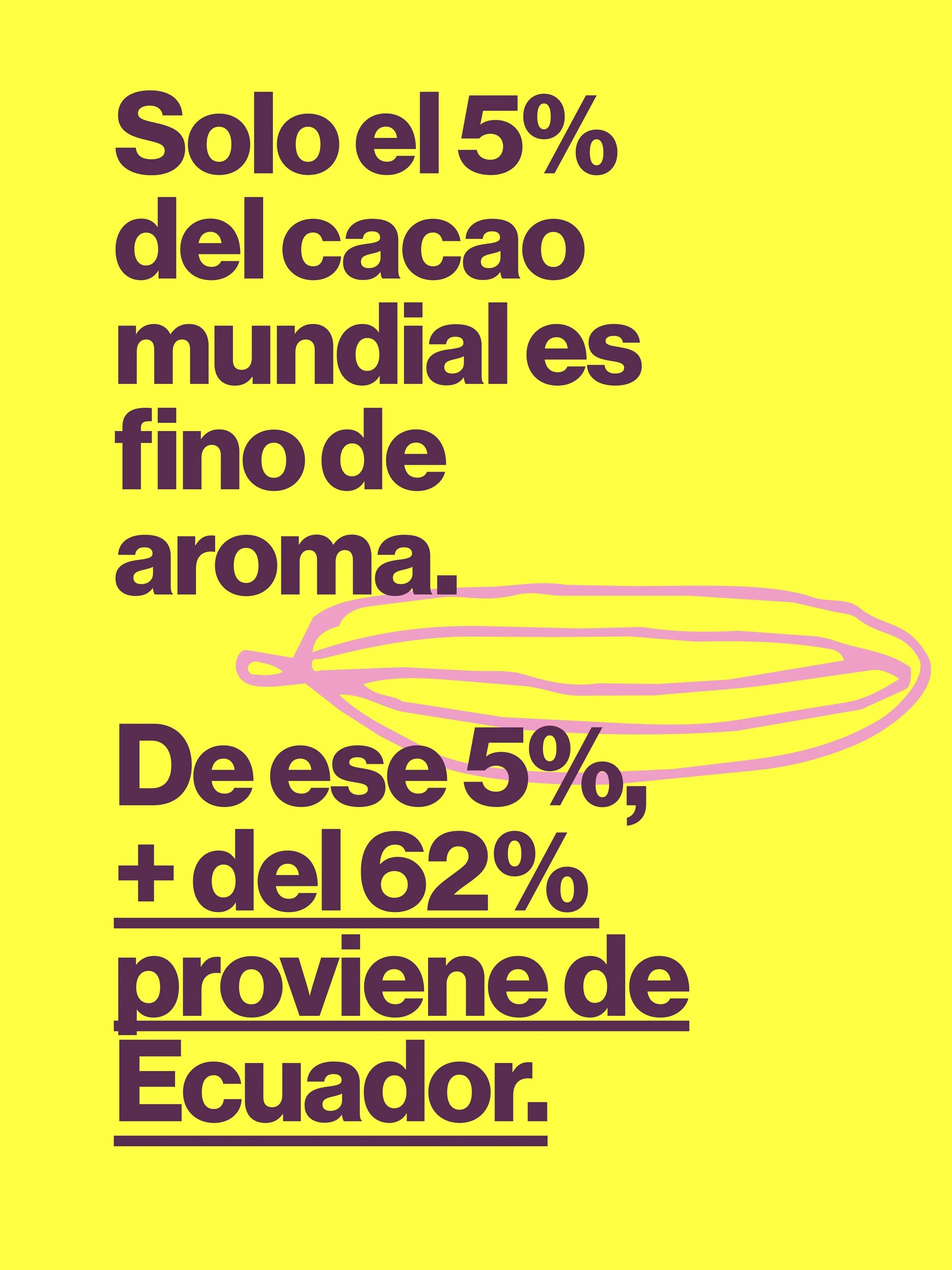 Hace unas dos d&eacute;cadas, los ecuatorianos comenzaron a reescribir la historia del cacao, y con ello, su propia historia.&nbsp;

Durante miles de a&ntilde;os se pens&oacute; que el origen biol&oacute;gico del cacao, su consumo y domesticaci&oacut