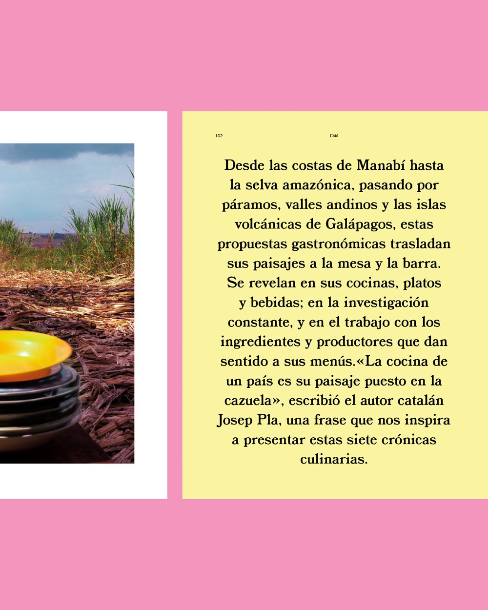 Paisajes comestibles Revista Chiú 9.jpg