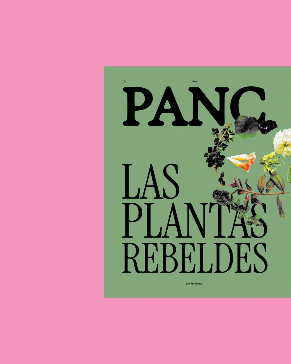 Paisajes comestibles Revista Chiú 6.jpg