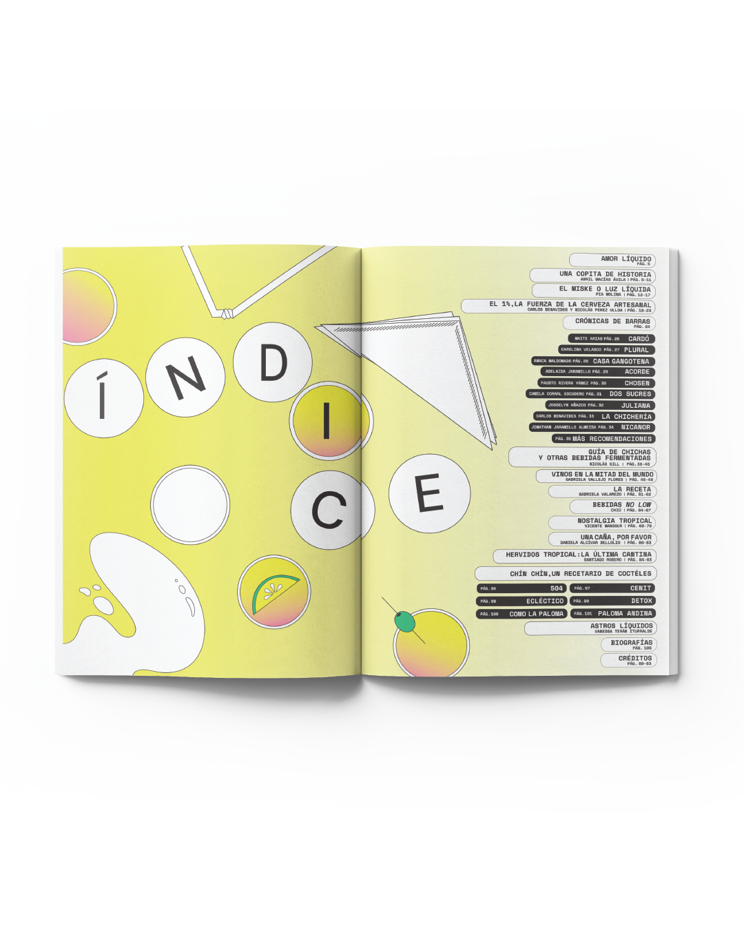 indice-11.png